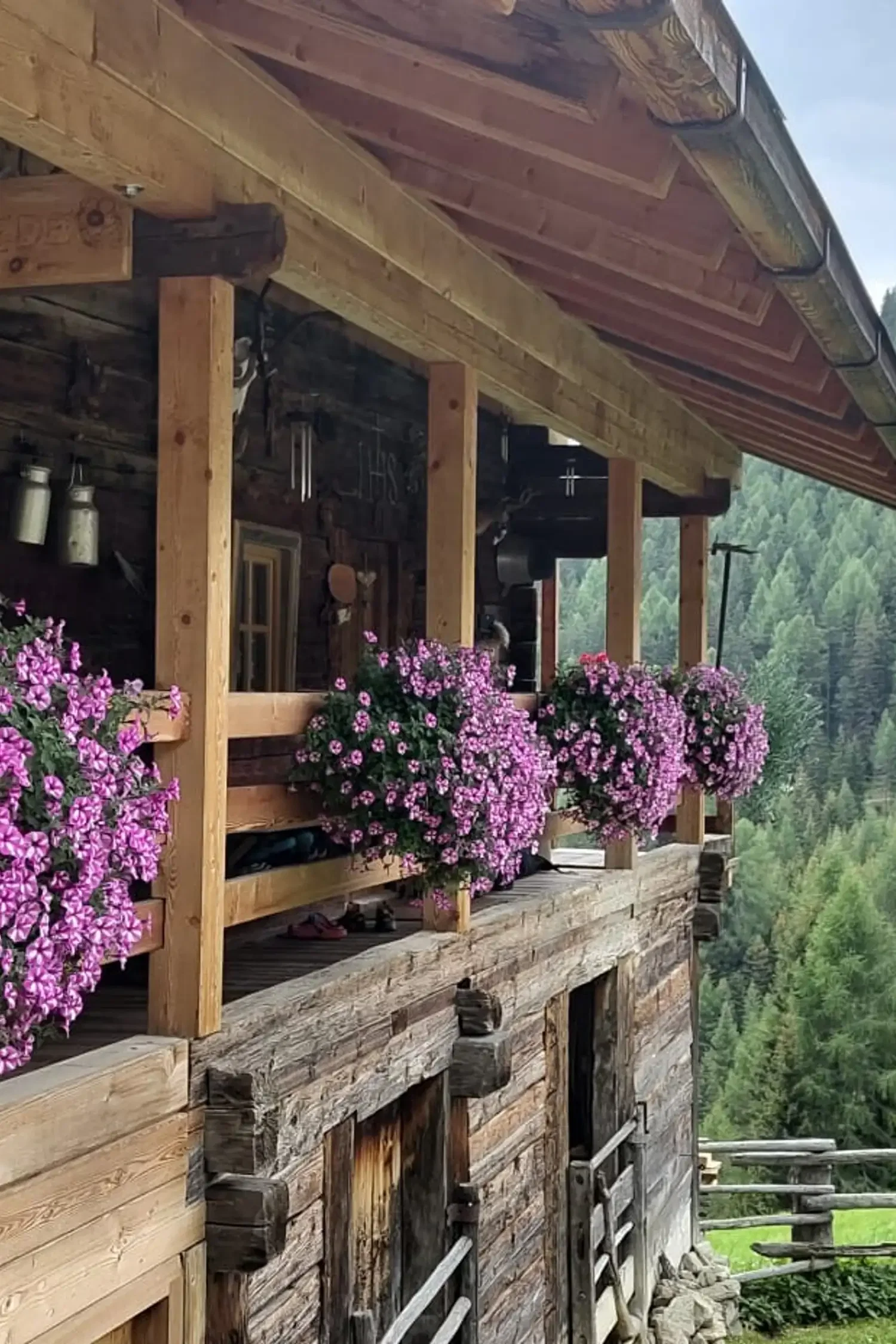 Escursione | Malga Laxiden*