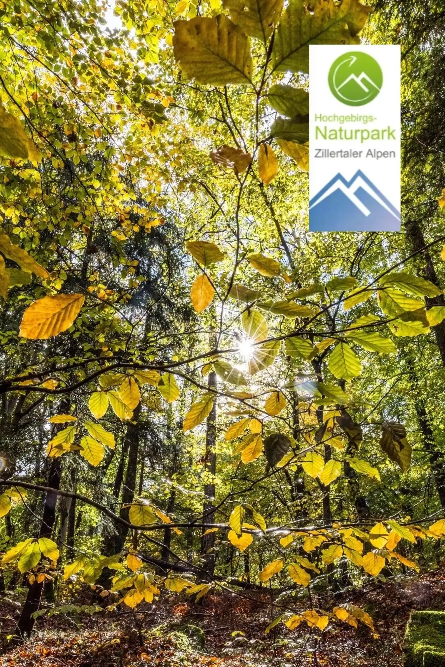 Waldbaden in der Glocke - Naturpark Erlebnis