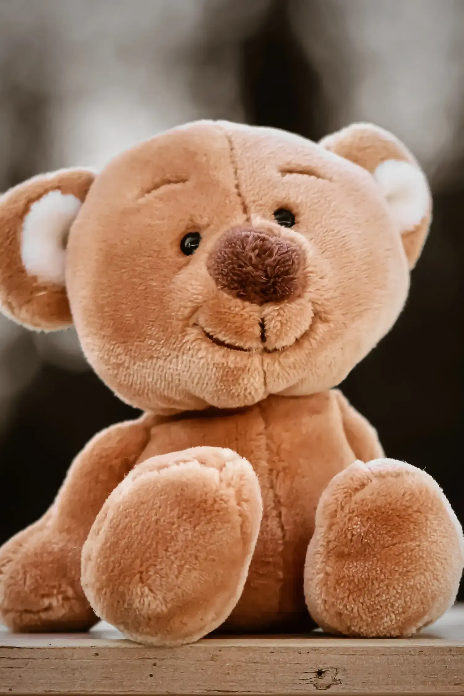 Kuscheltierspaß für die Kleinsten: Kreative Betreuung im Happy-Club!" 🧸