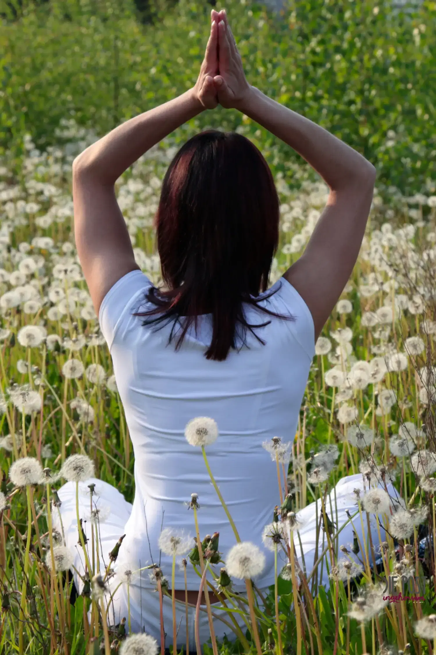 Private Yogastunden & Ayurvedabehandlungen