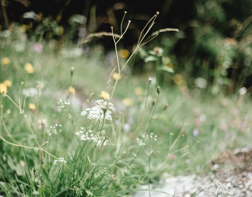 Wandererlebnis mit Naturwerkstatt