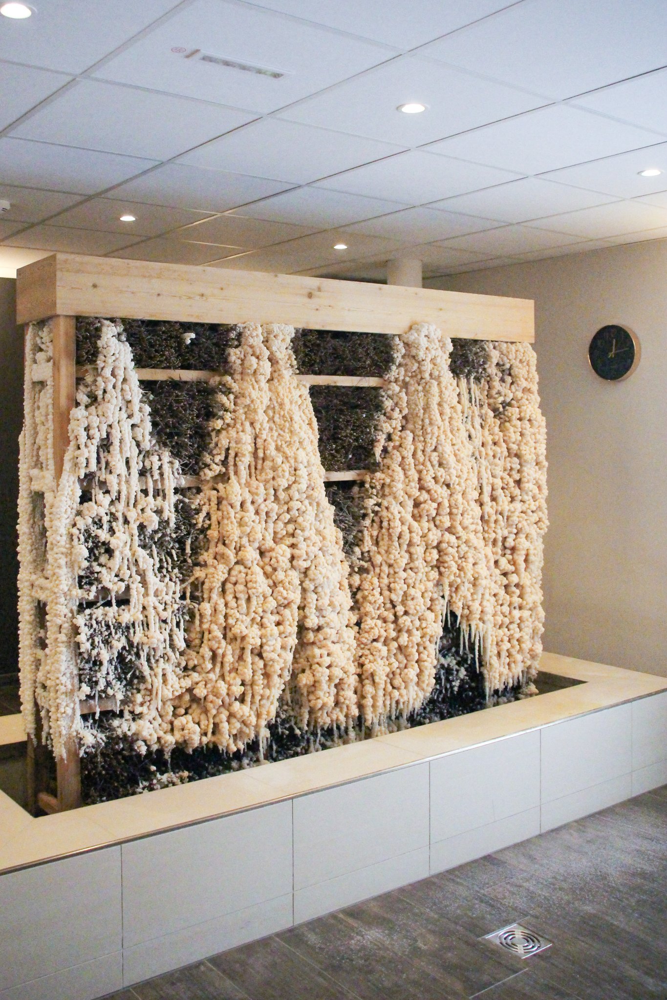 Grading Plant
Brine Inhalation