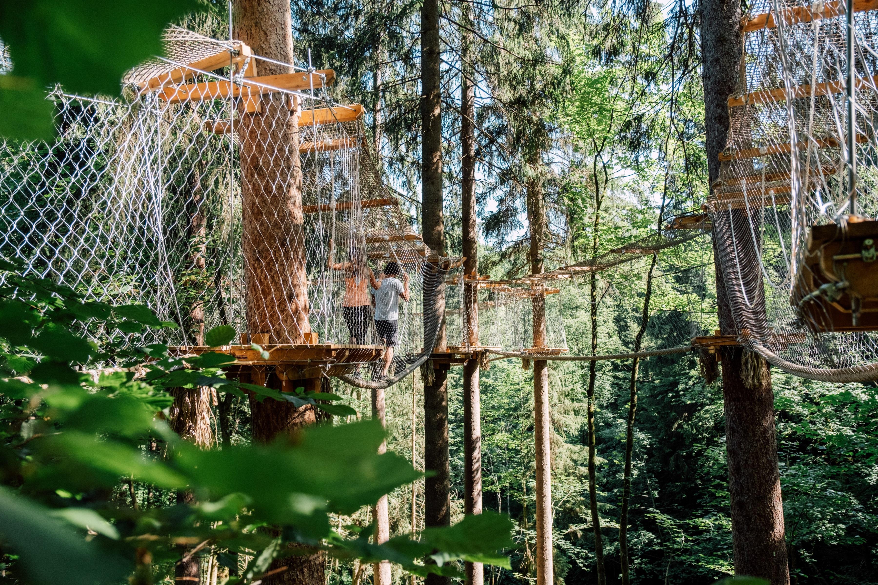 Jodys Baumparcours