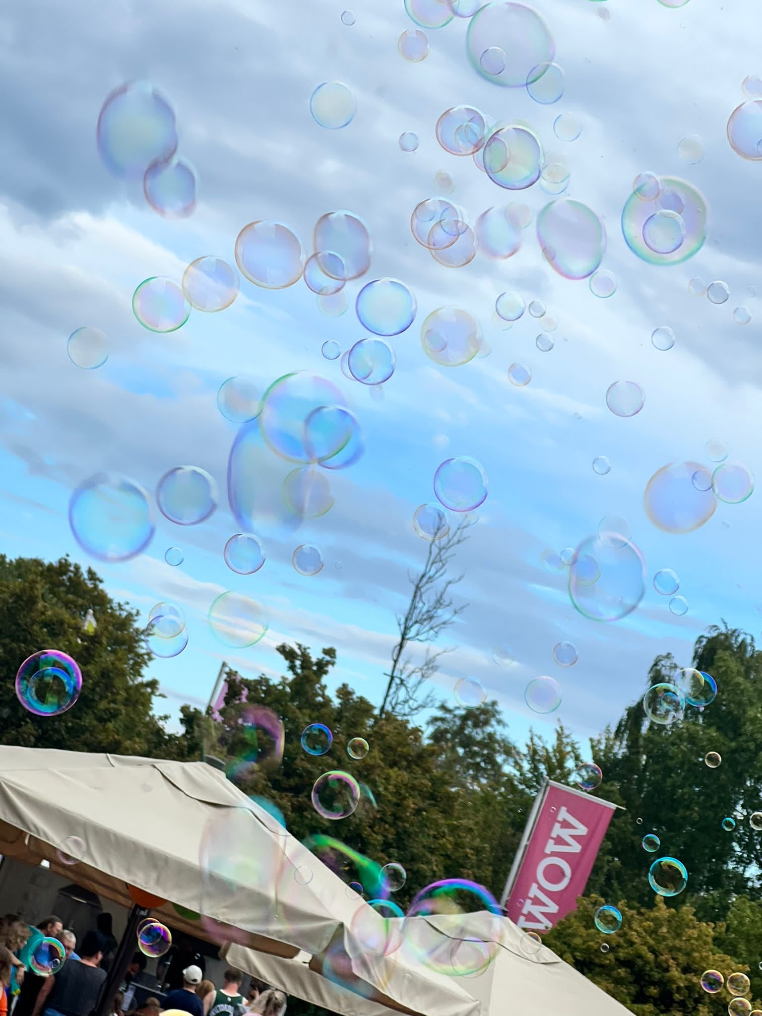 Wirthshof Sommer-Party