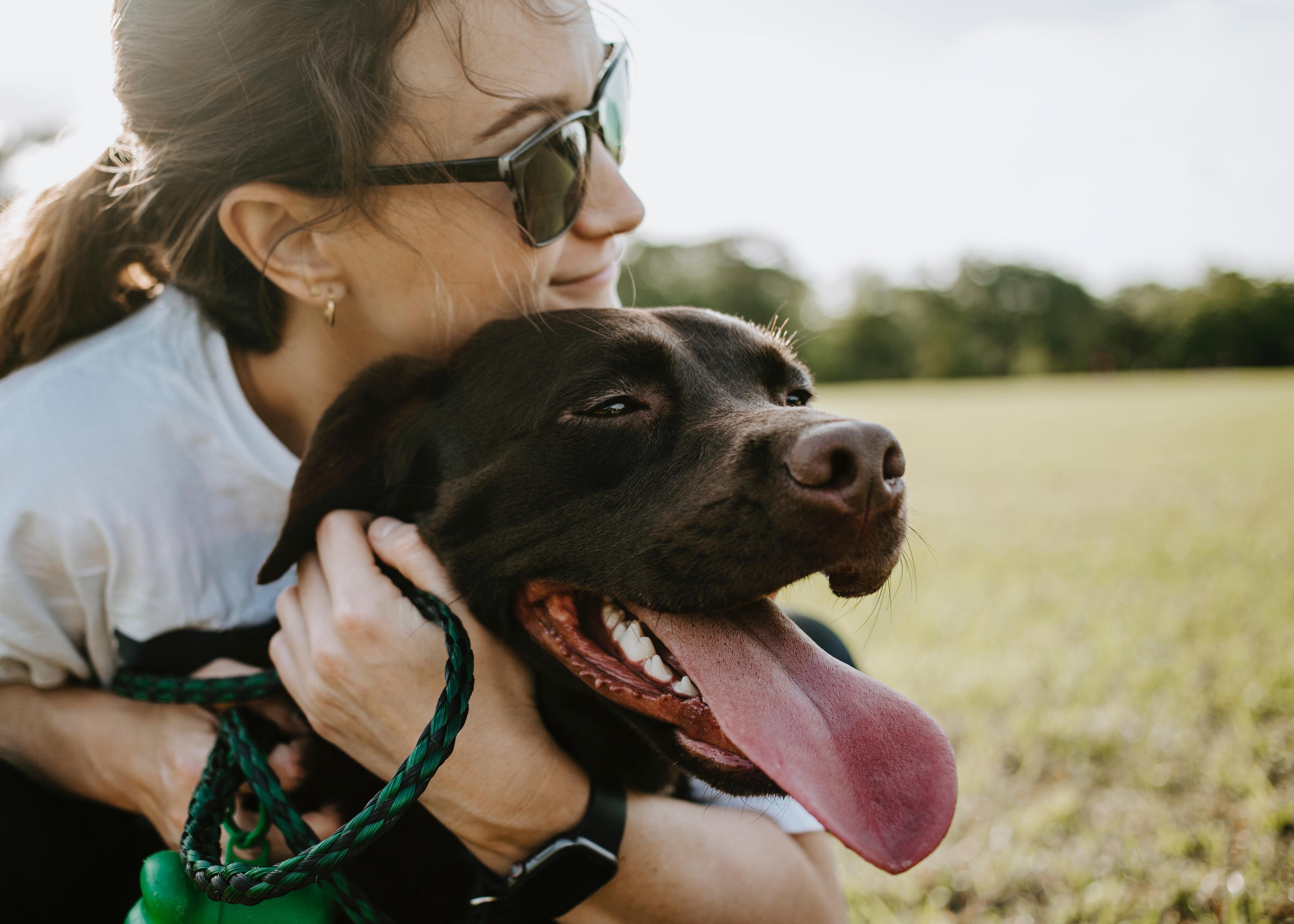 Passeggiate con il cane