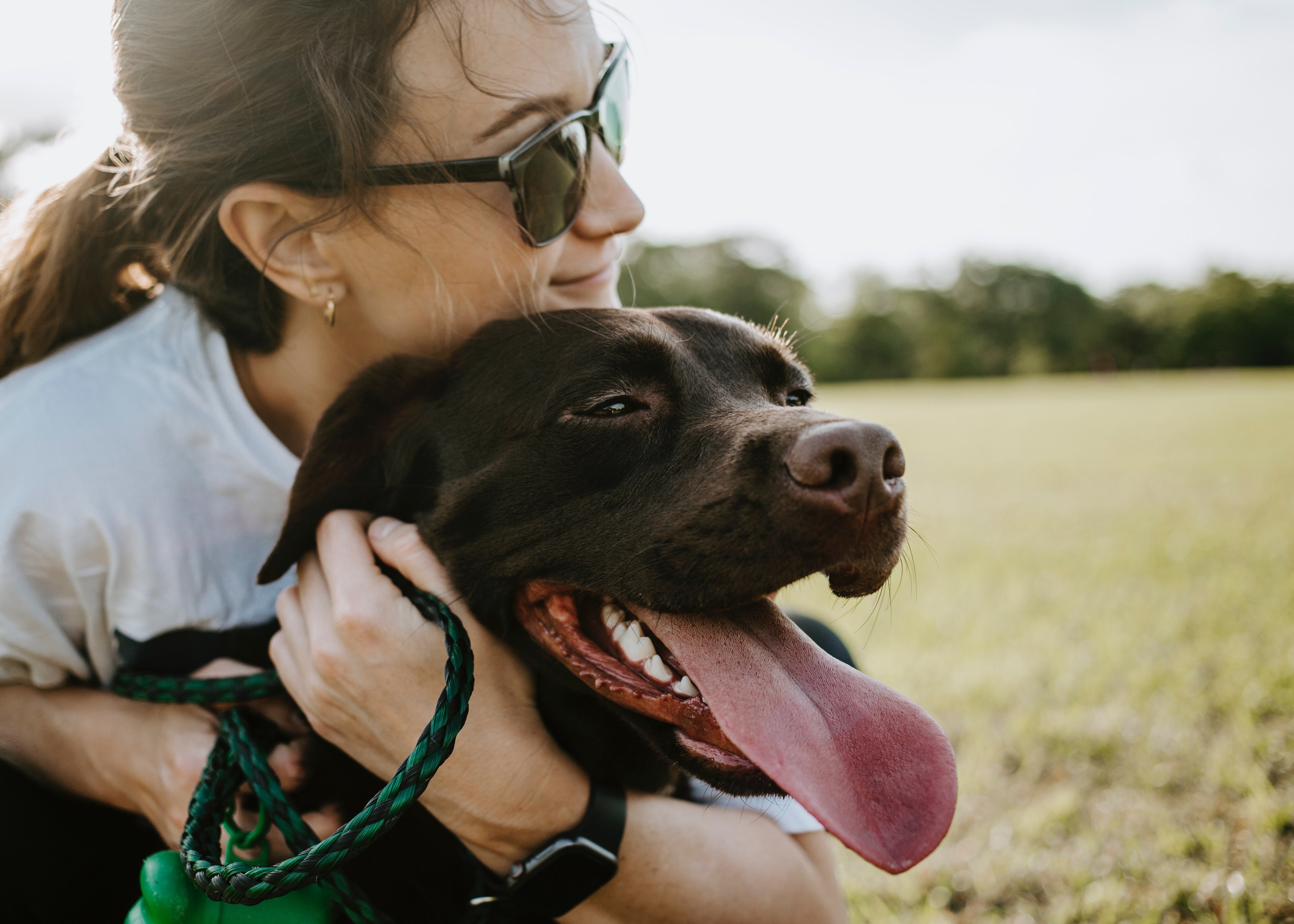 Walks with dog