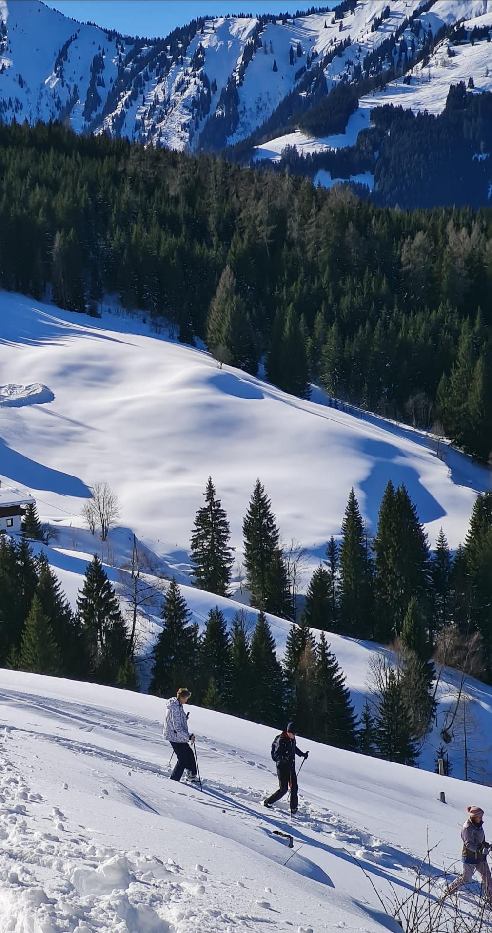 Happy snowshoe hike to the mountain pasture - so close to the mountains