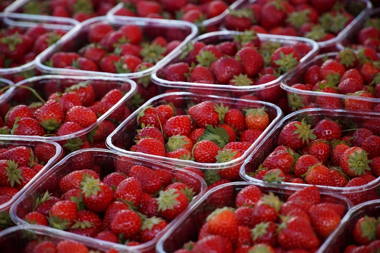 Weekly market in Bruneck