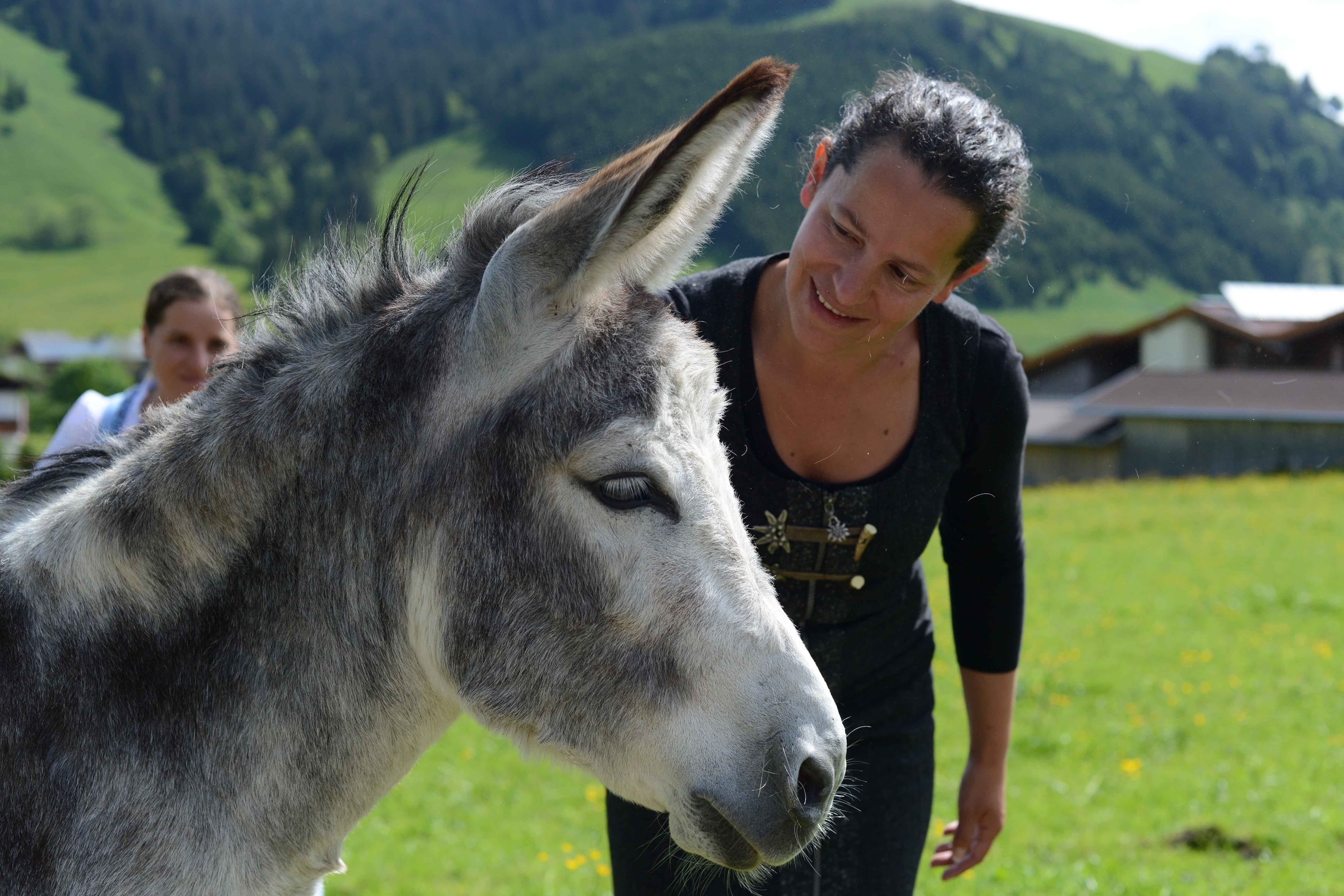 Esel Abenteuer Deluxe: Einzigartiges Trekking-Erlebnis für Naturliebhaber