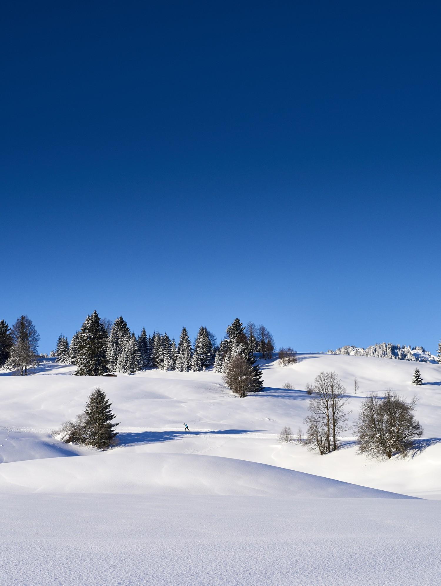 Montagstipp: Von der Wanderung zum Moorweiher bis zum Spaziergang Vilsalpsee