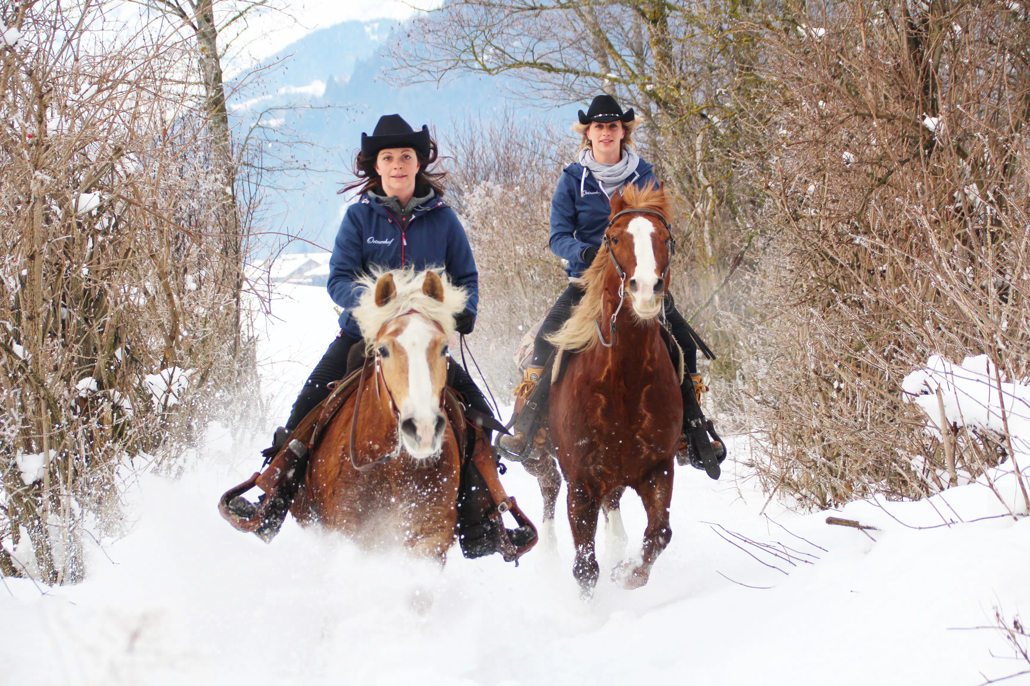 GALOPP IM SCHNEE - Winterreiten im Virgental