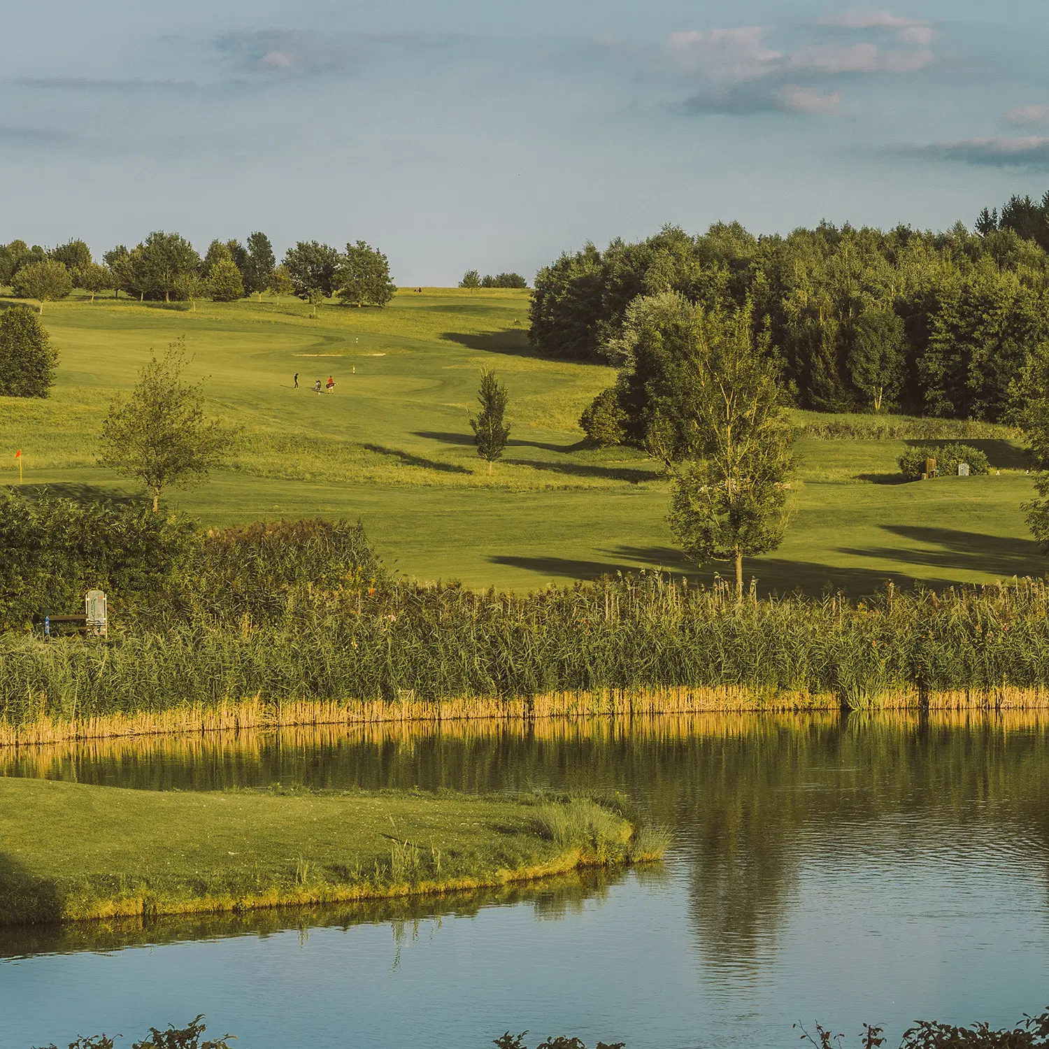 Golf-Pro Einheit