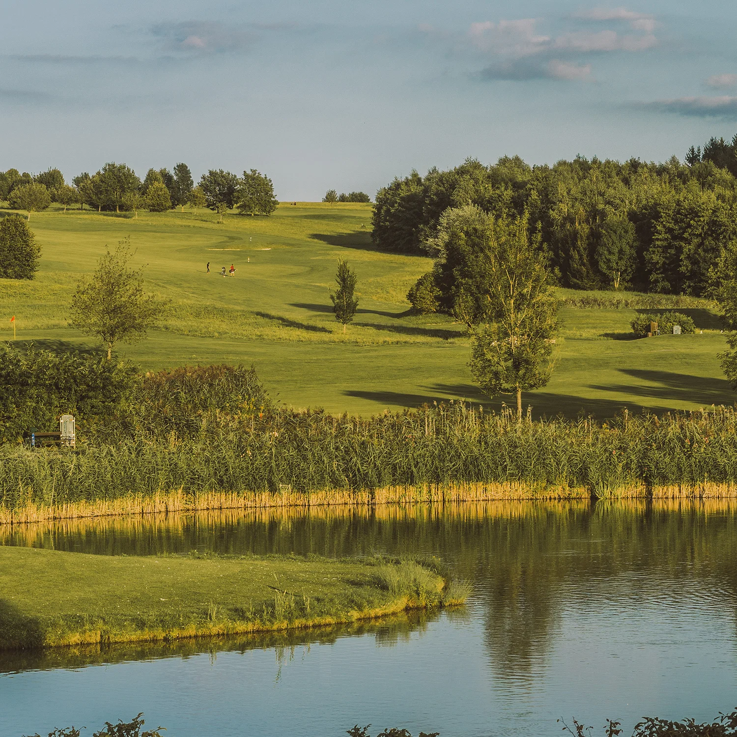 Golf-Pro Einheit