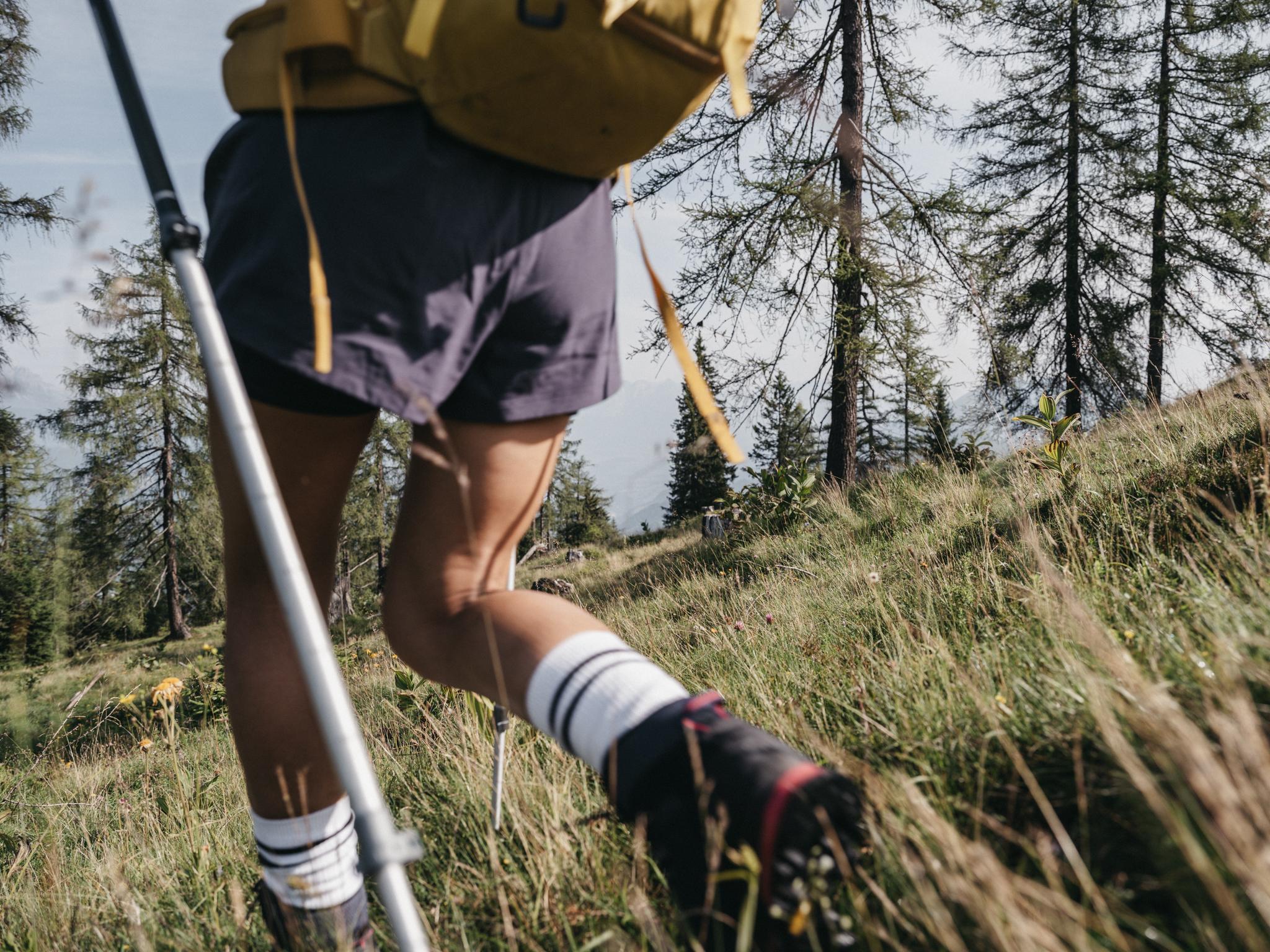 Wandertouren mit Guide