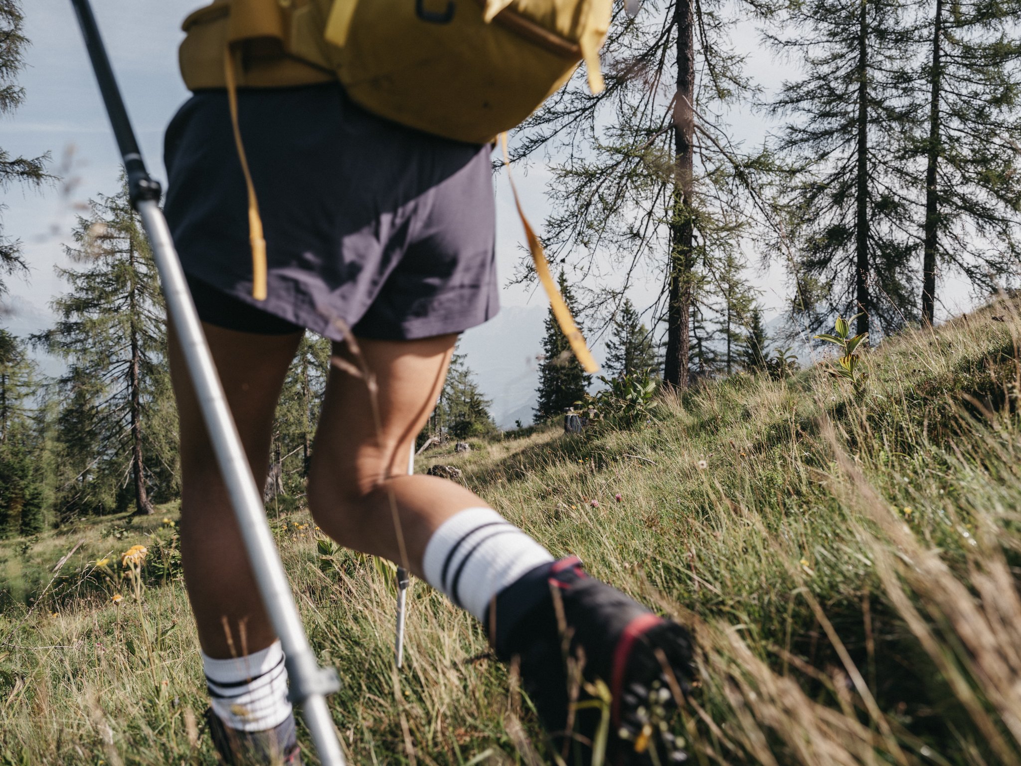 Hiking tours with guide
