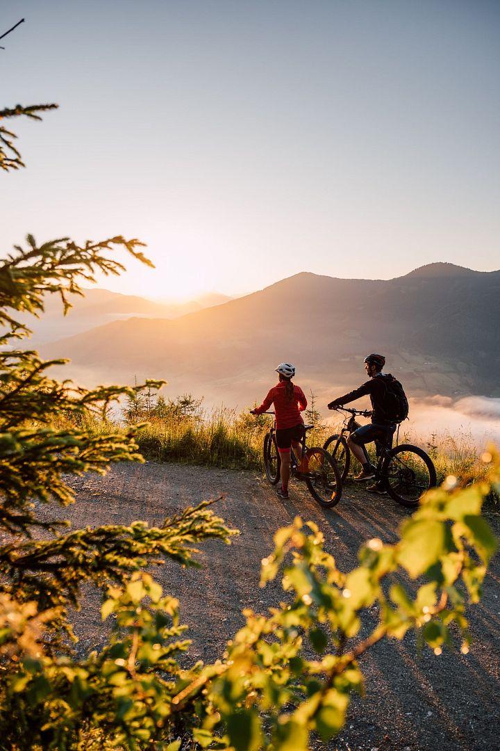 Bike Rental