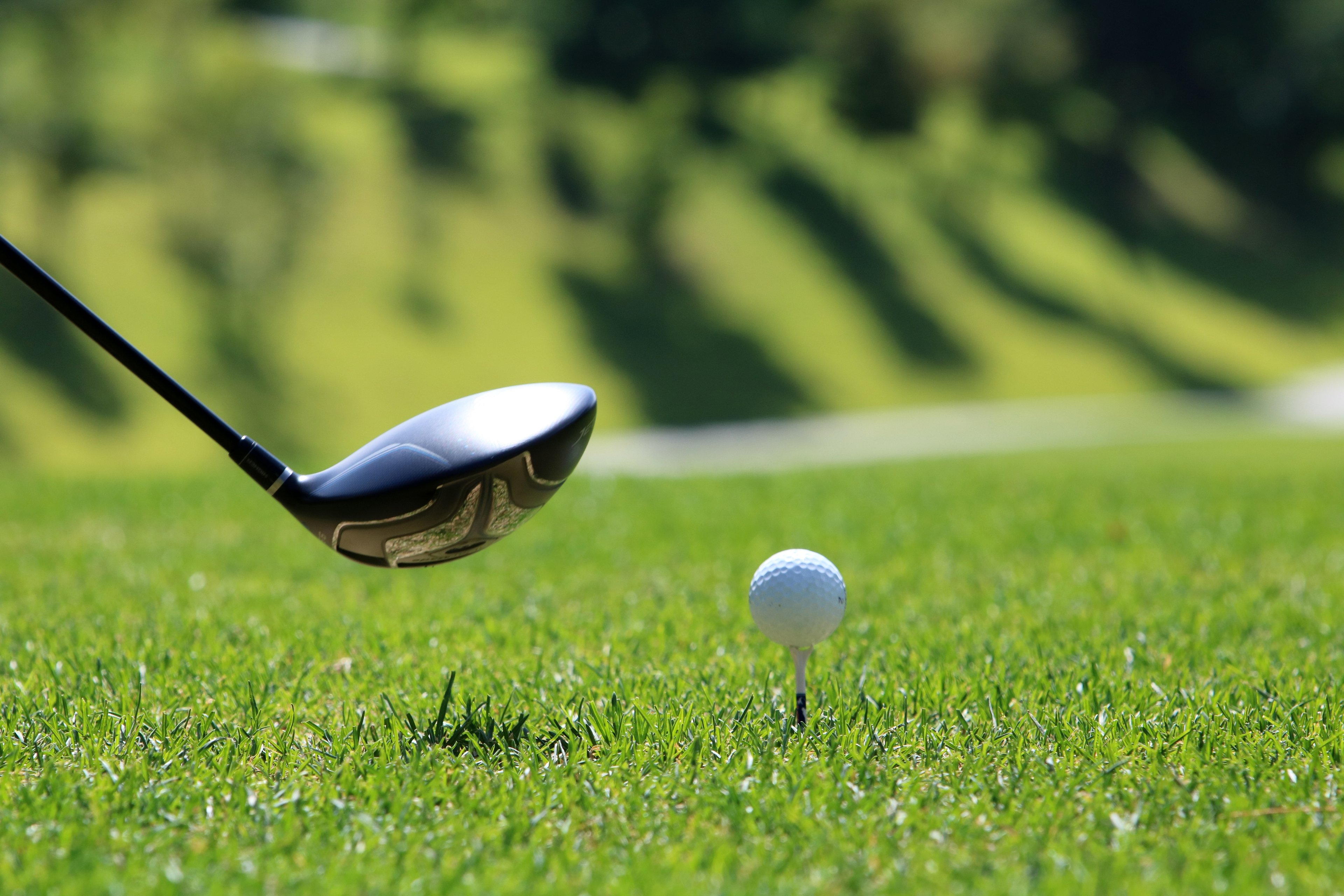 Corso di prova di golf*