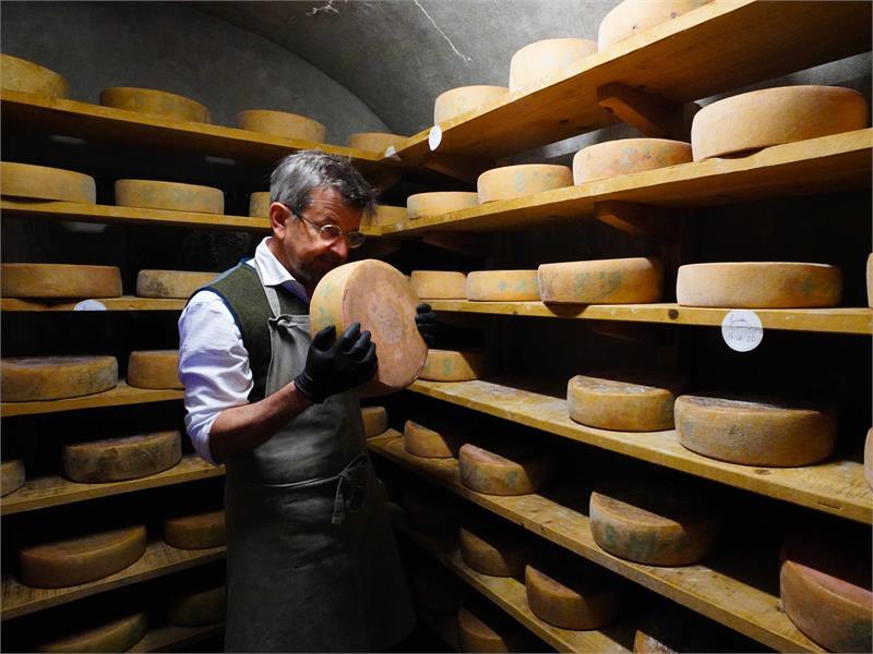 Momenti di piacere - formaggi e vini della regione
