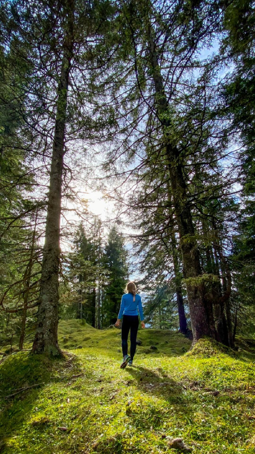 Waldbaden im Tannheimer Tal. Spazieren mit allen Sinnen.