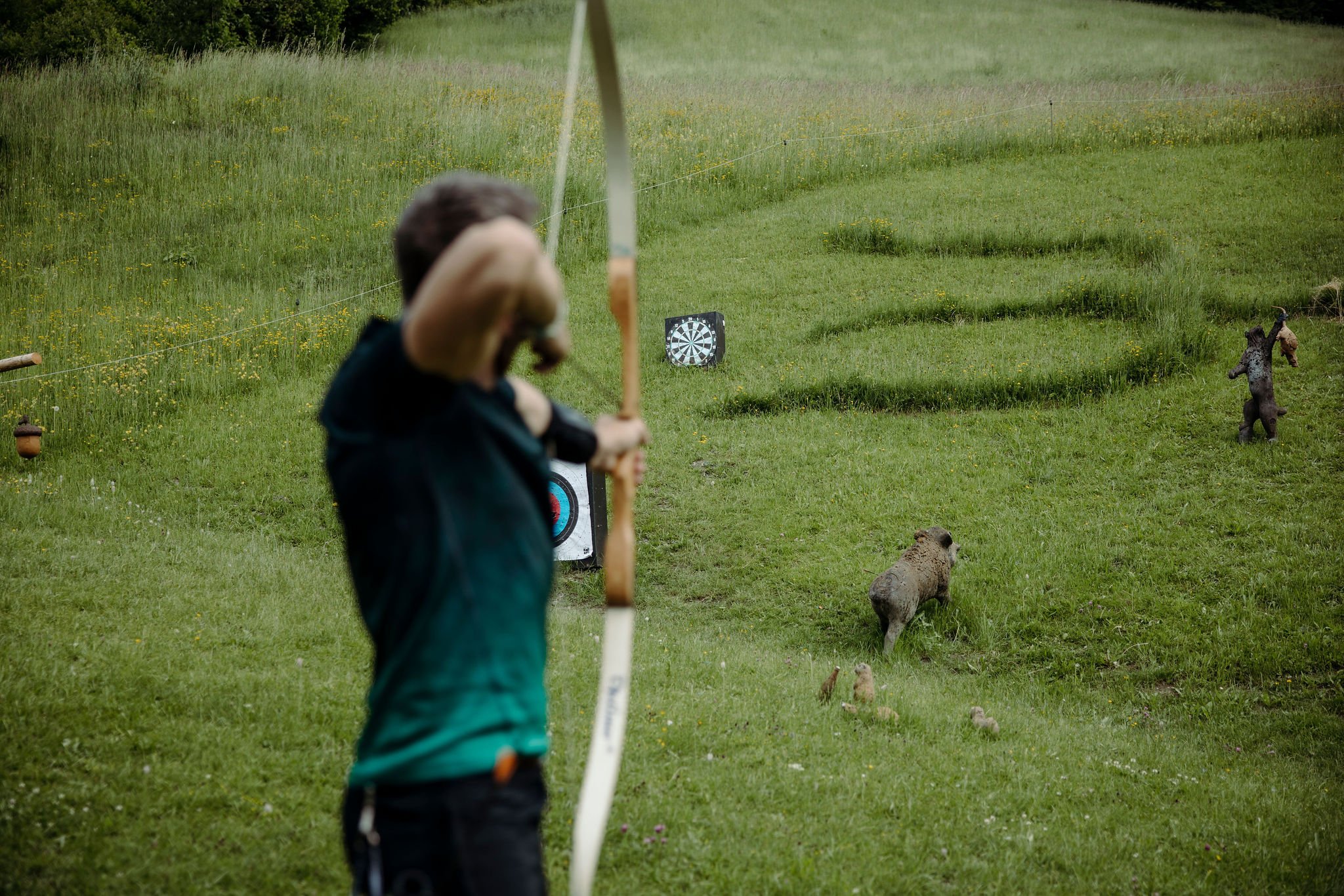 Bow hunting Alpendorf