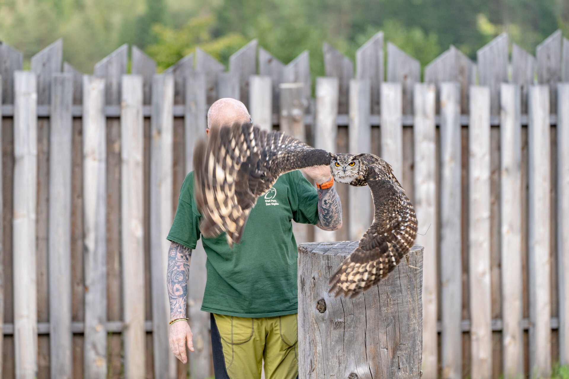 Owl Park San Vigilio