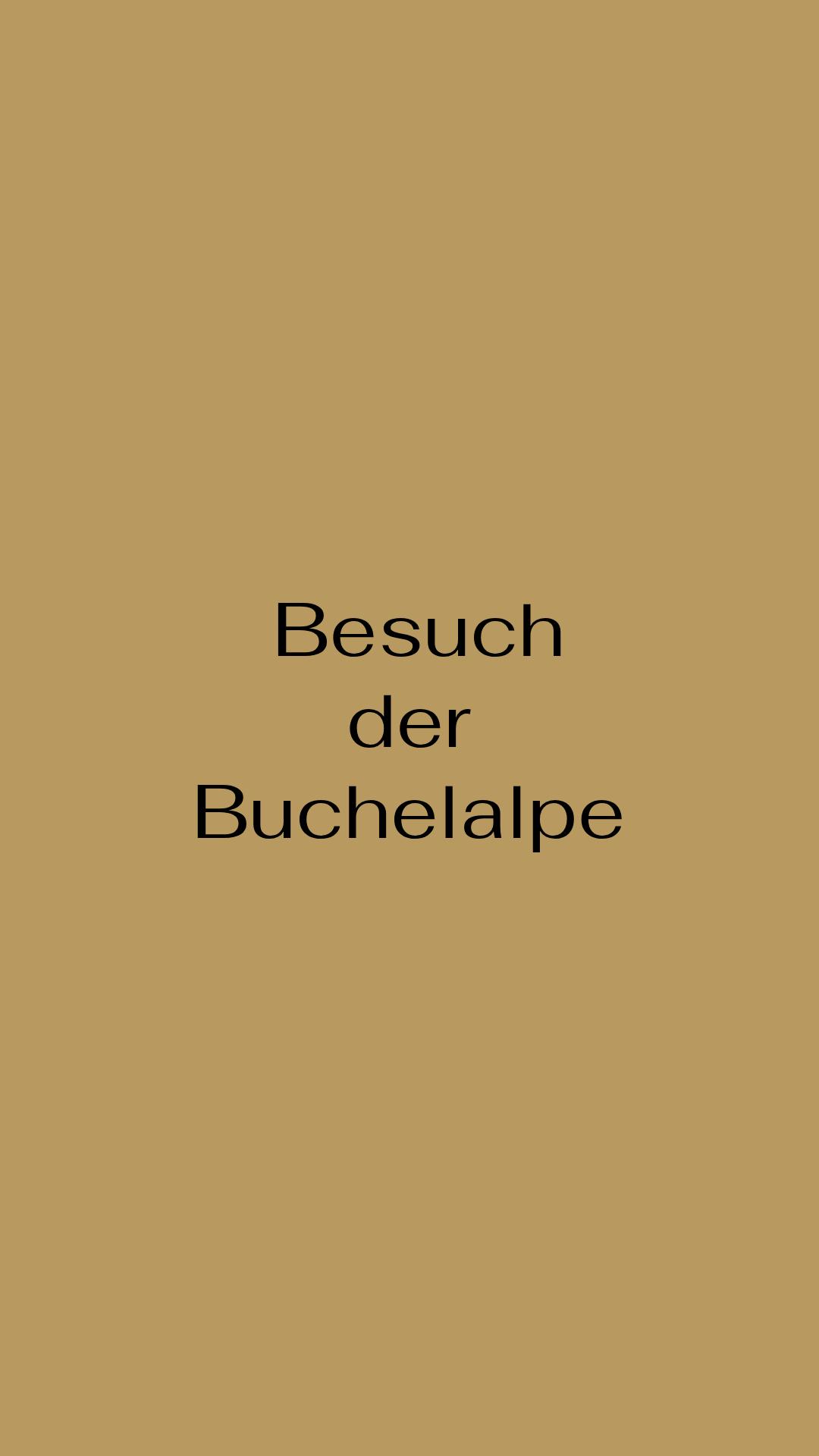 Samstagstipp Von der BUCHELALPE WANDERUNG bis hin zum Haldensee Spaziergang
