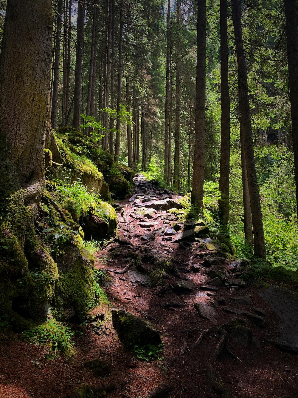 Wanderung zur Maxhütte