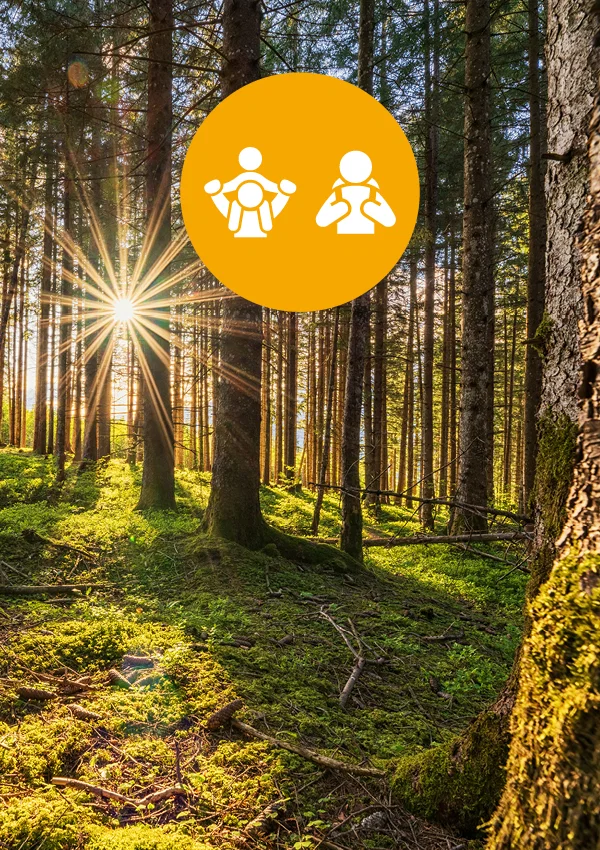 Abenteuerwanderung – Der Wald als Escape Room in Natters
