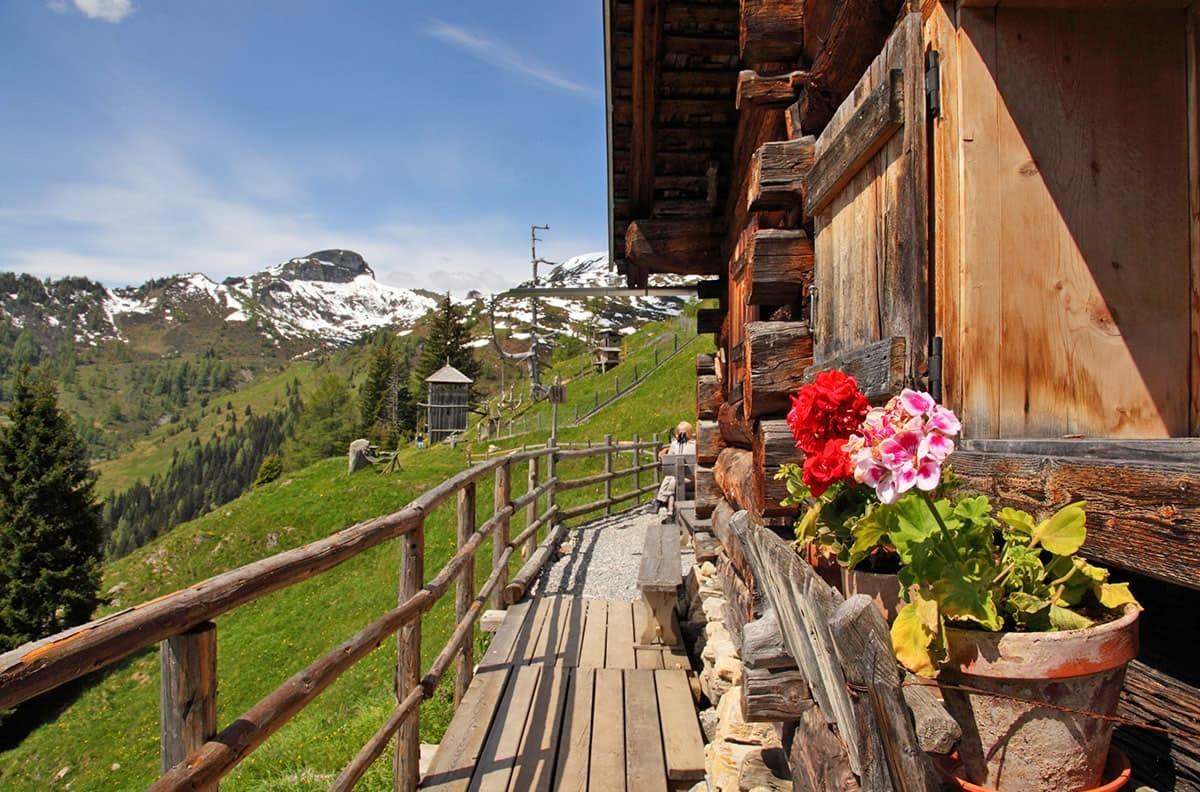 Alpine trail in Grossarl - easy