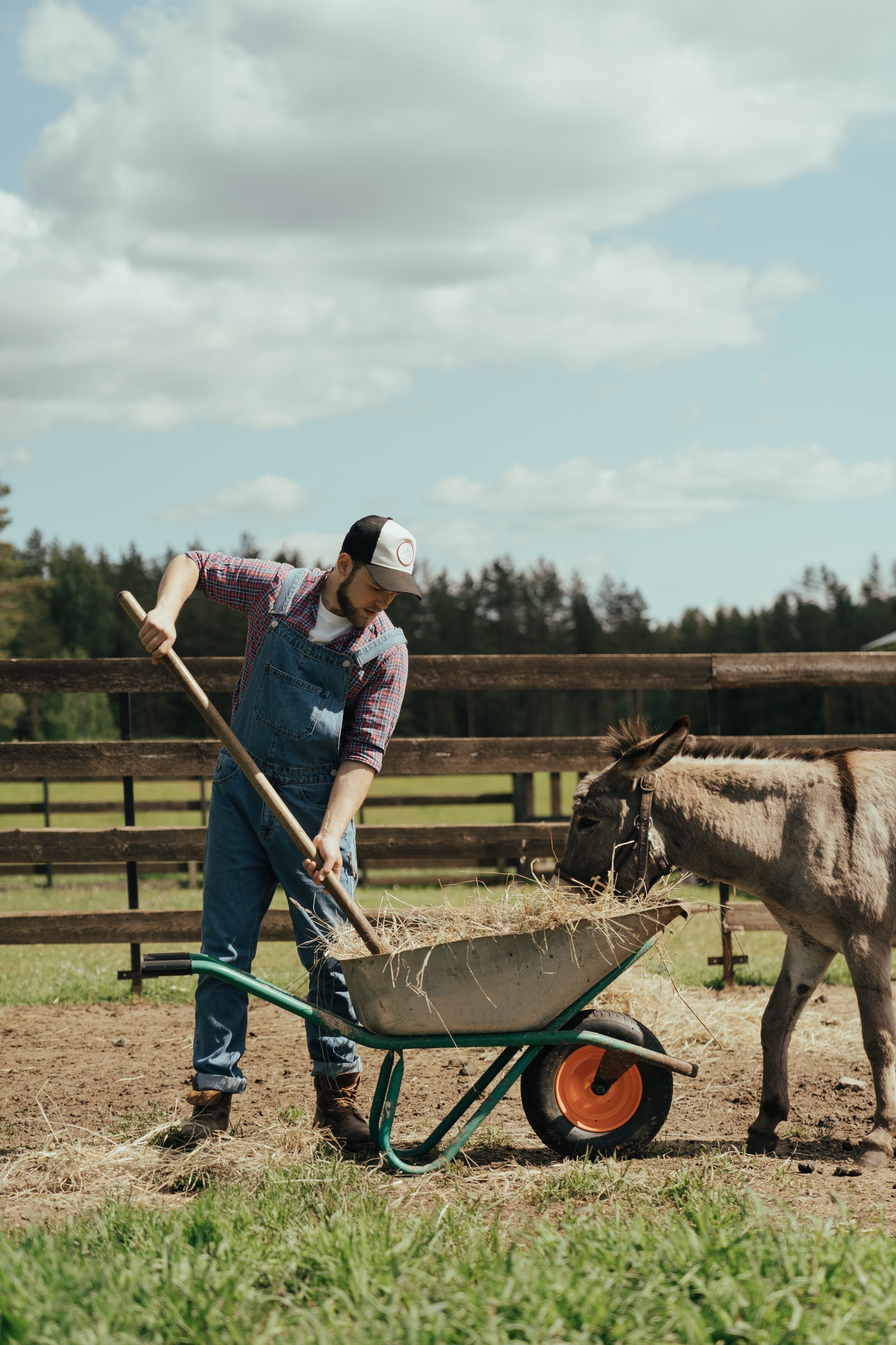 Farm beats with Martin. Experience country life live