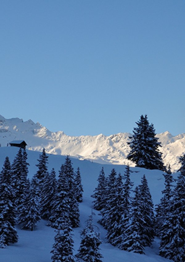 Schneeschuh-Wanderung - Wintererlebnis Hollersbachtal
