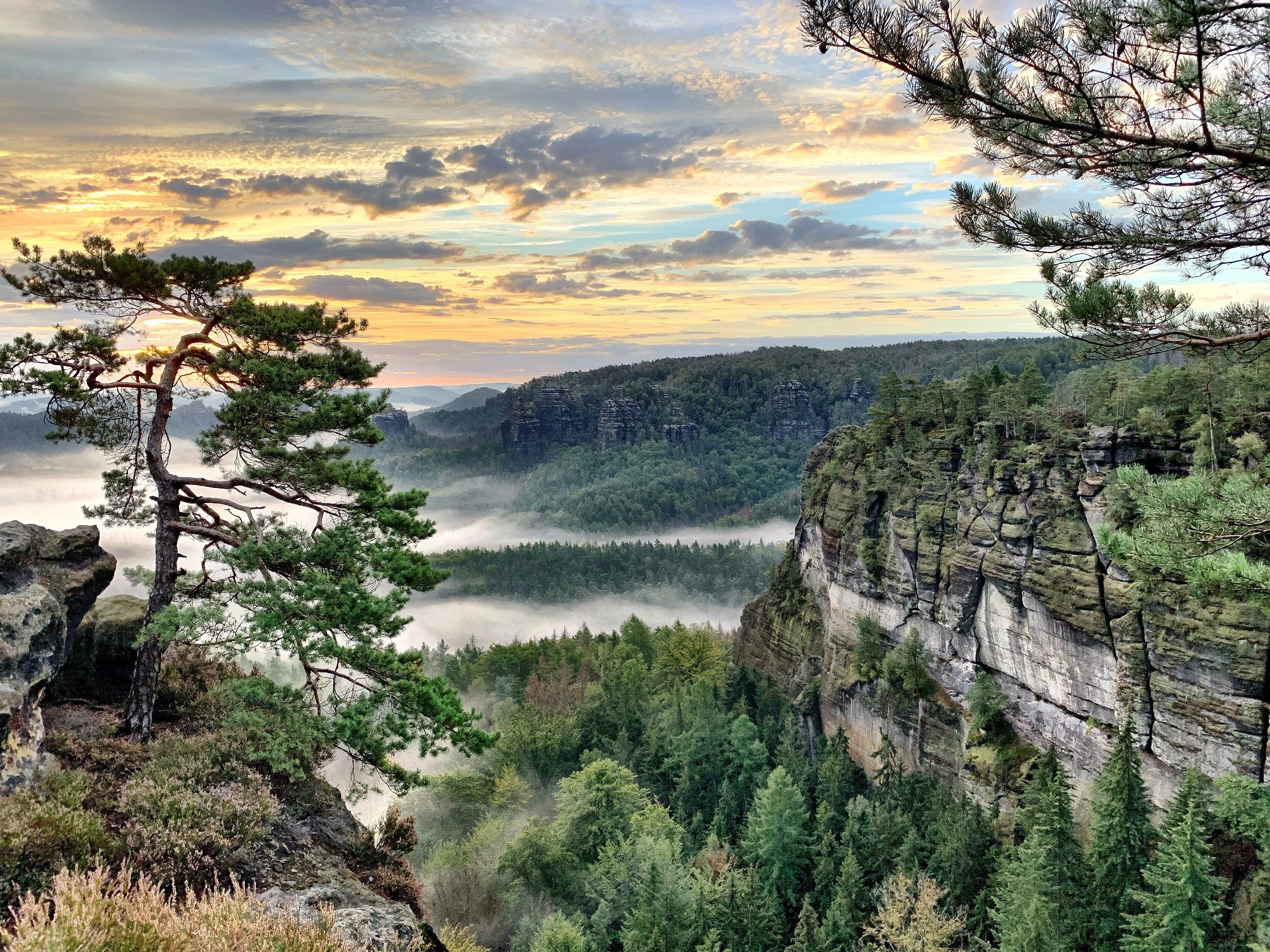 Klettertag im Elbsandsteingebirge