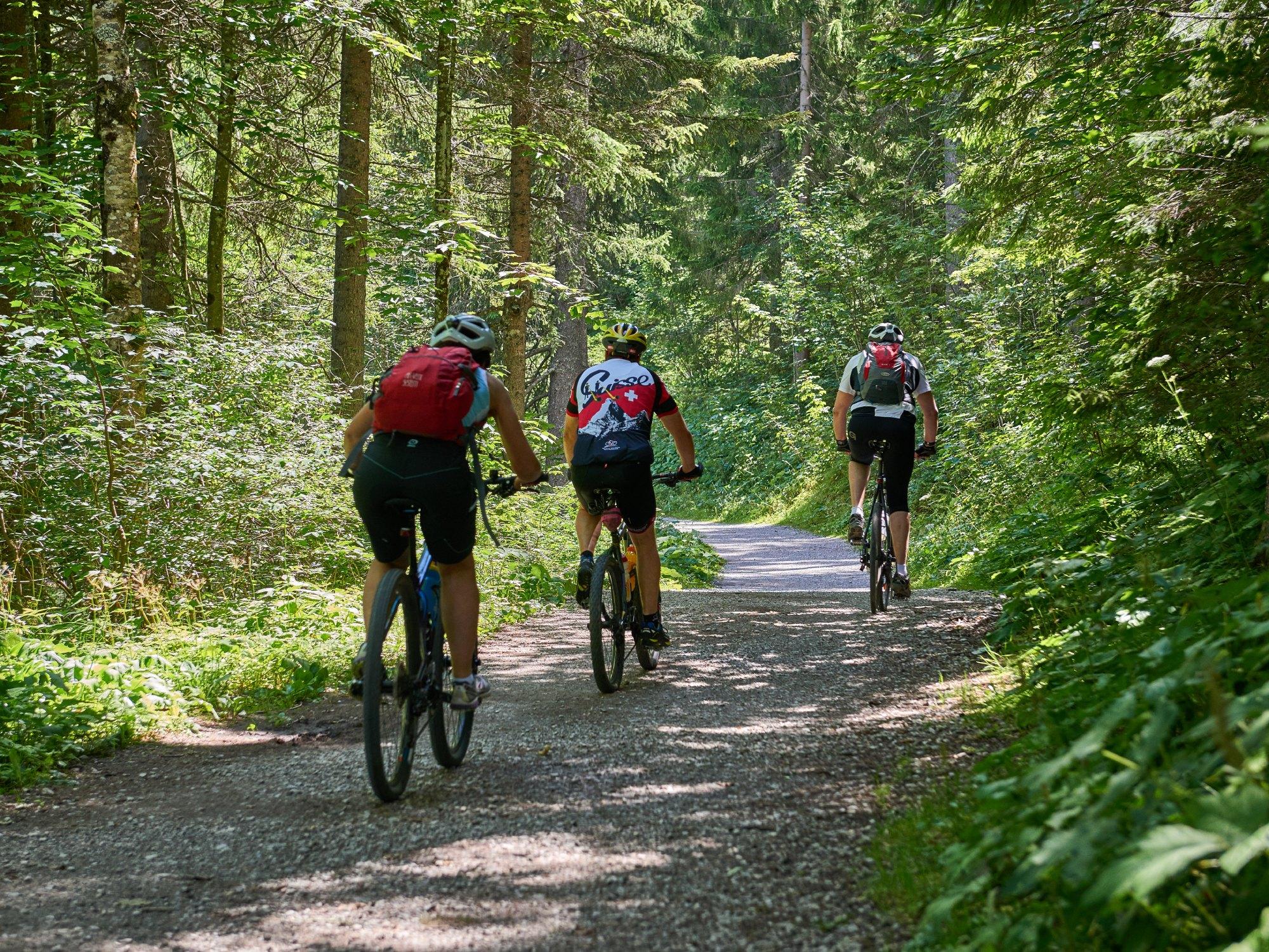 Alles rundums BIKEN im Tannheimer Tal!