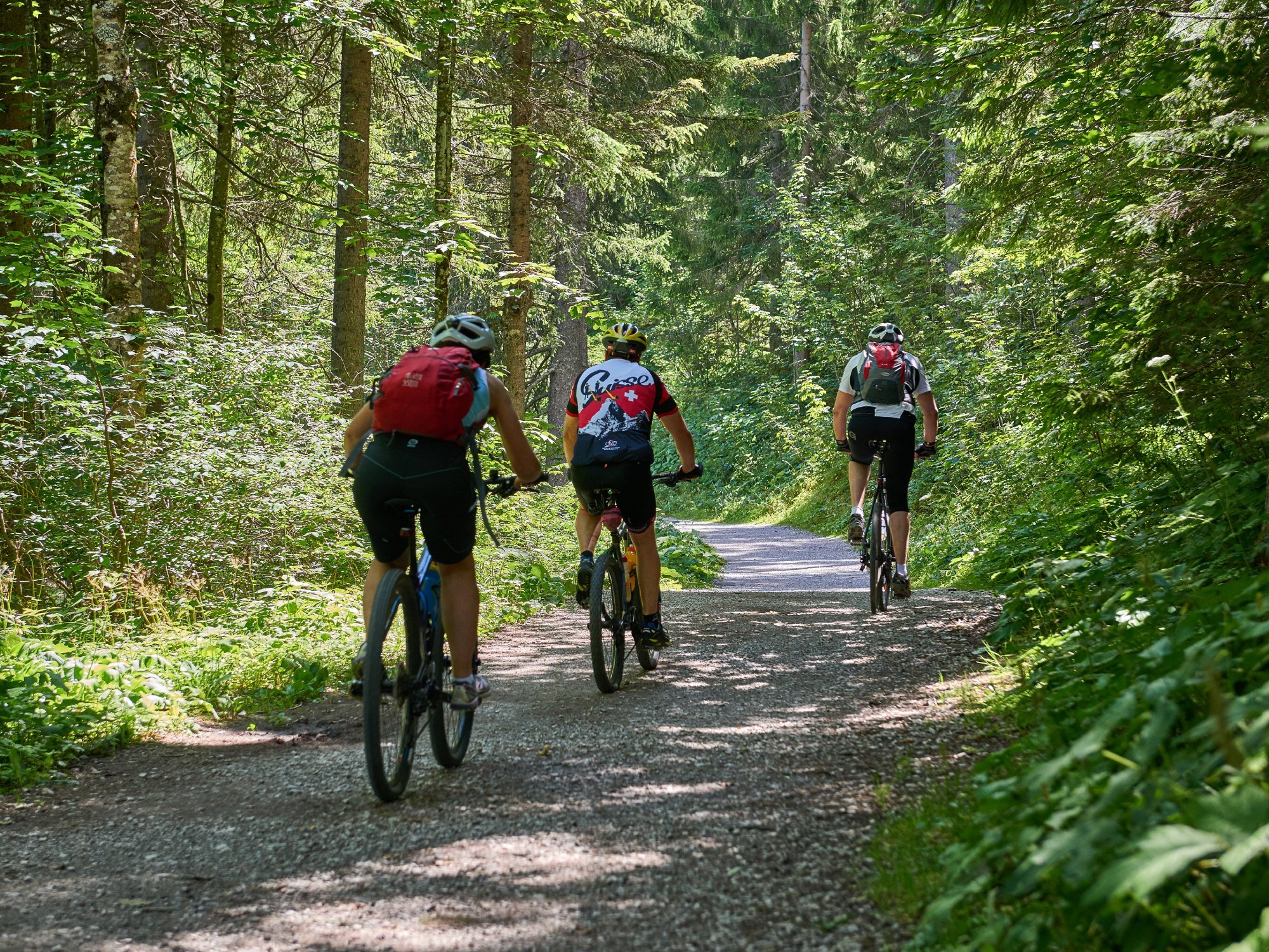 Alles rundums BIKEN im Tannheimer Tal!
