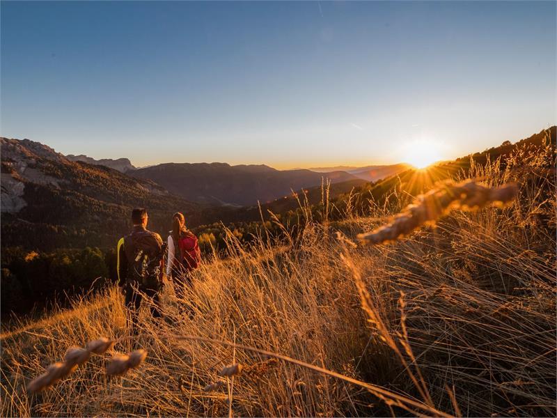 Monti Ardenti - escursione al tramonto a Schönjochl
