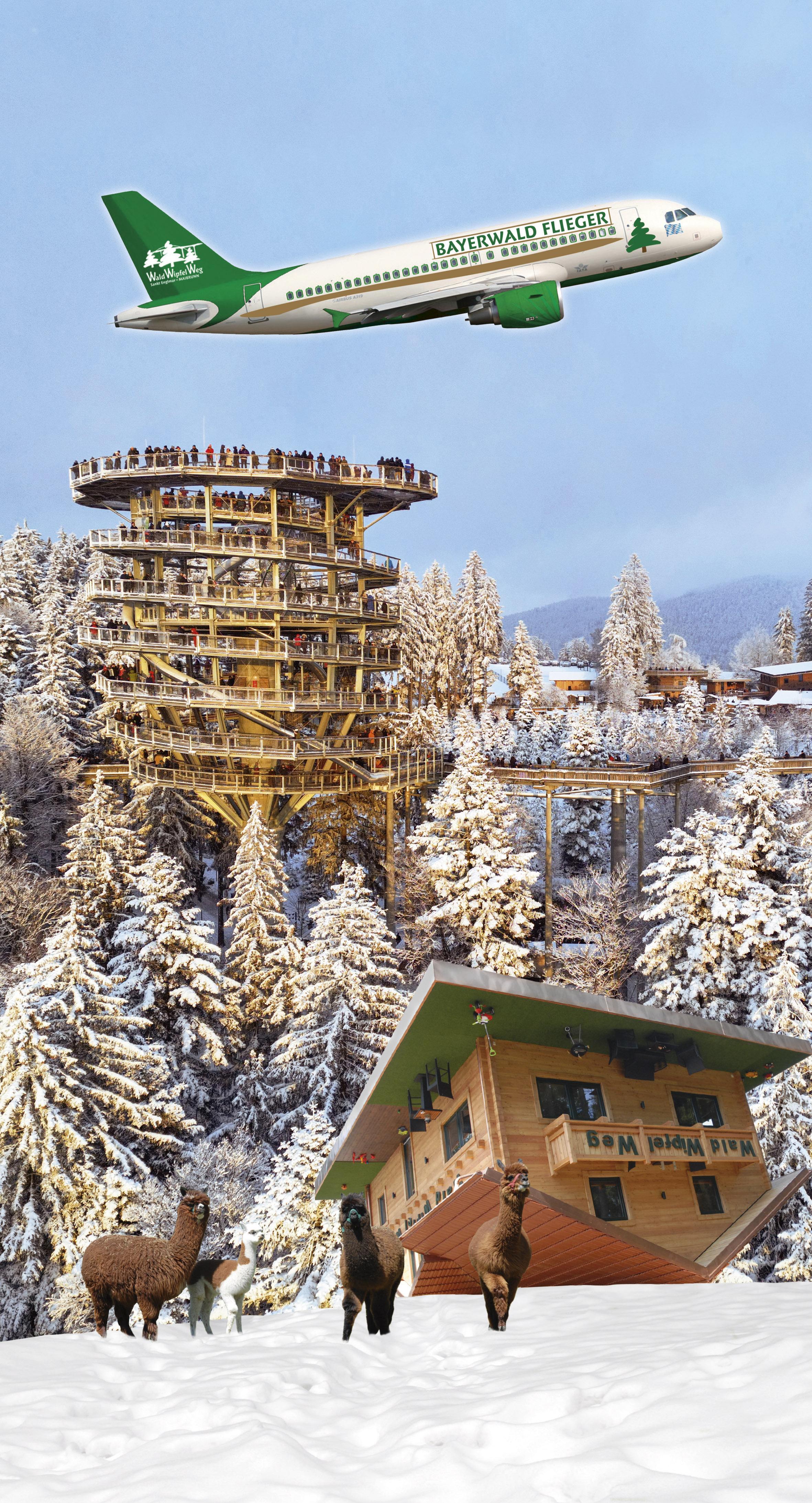 Wipfelstürmer - der Wald Wipfel Weg mit Turm