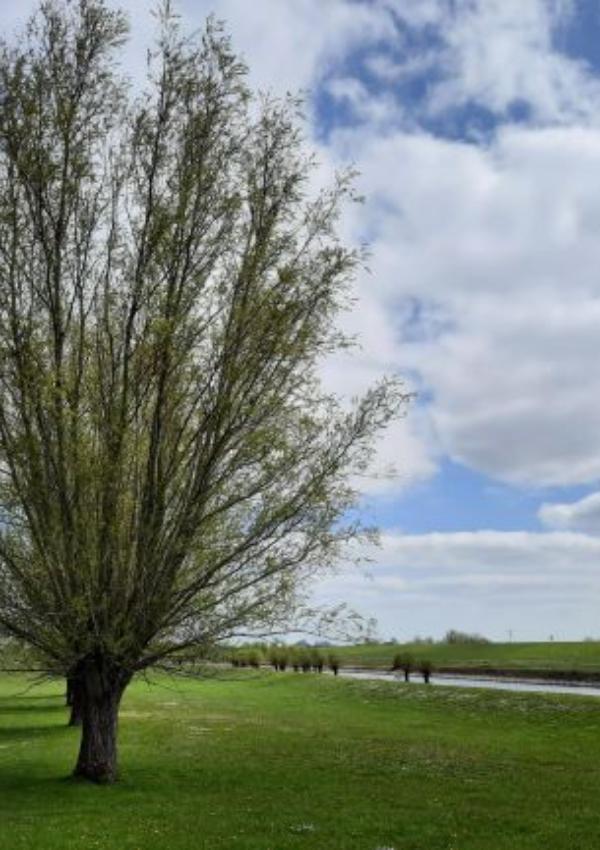 Experience nature: Lower Rhine