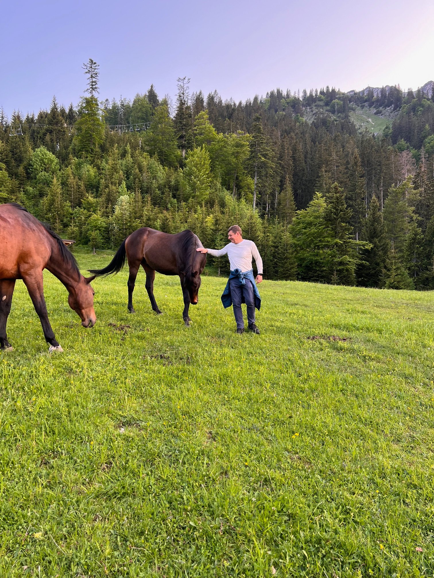 Geheimtipp im Tannheimer Tal - Weidezeit mit Uschi, Foxi und Co.