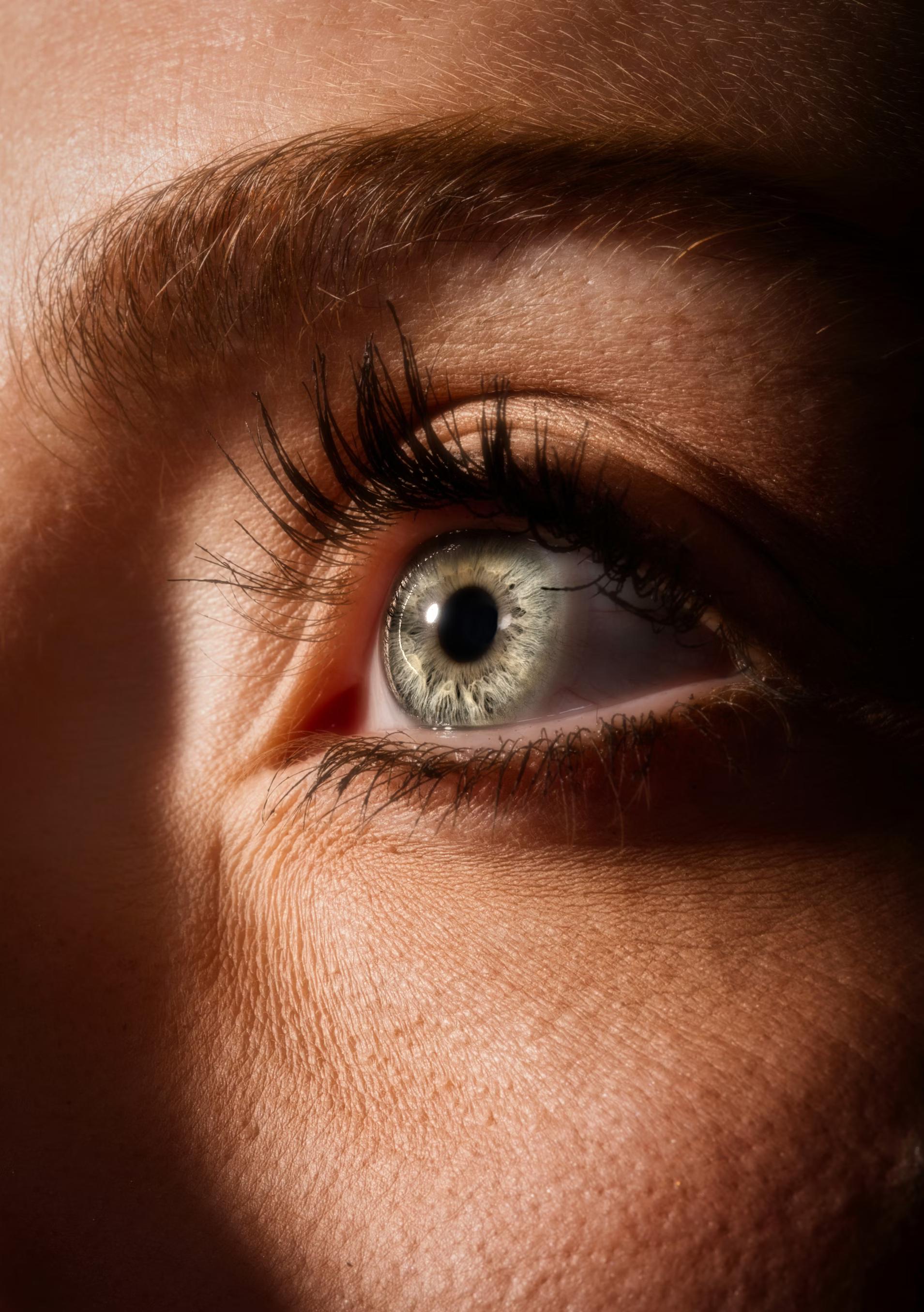 Brow lifting inkl. färben