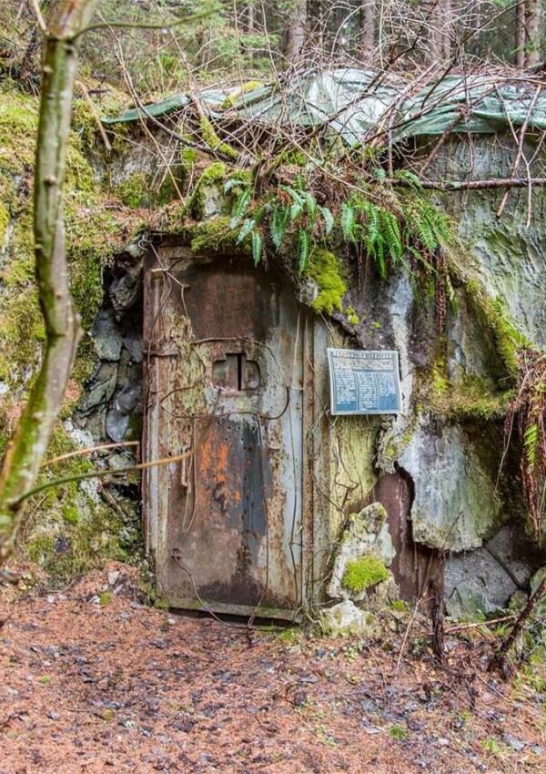 Bunker hike