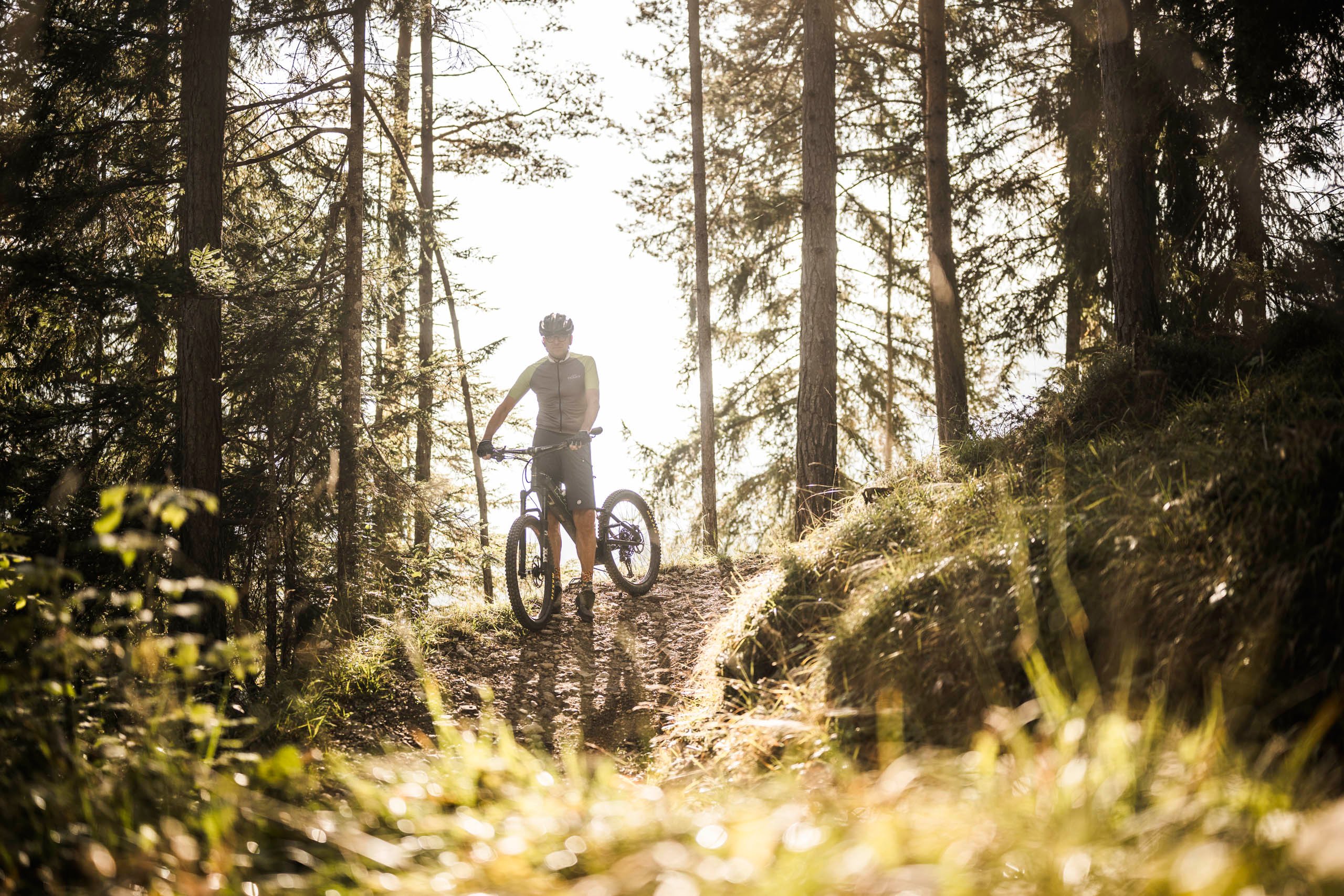 Noleggio bike e servizi bike