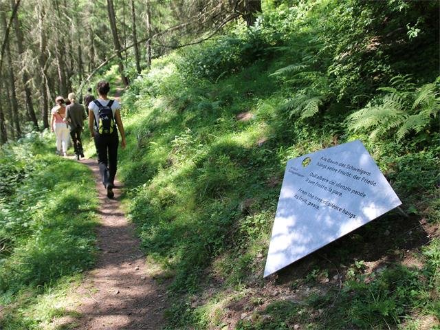 Wanderung Unser Frau Karthaus - In der Stille liegt die Kraft; Veranstaltung Tourismusverein