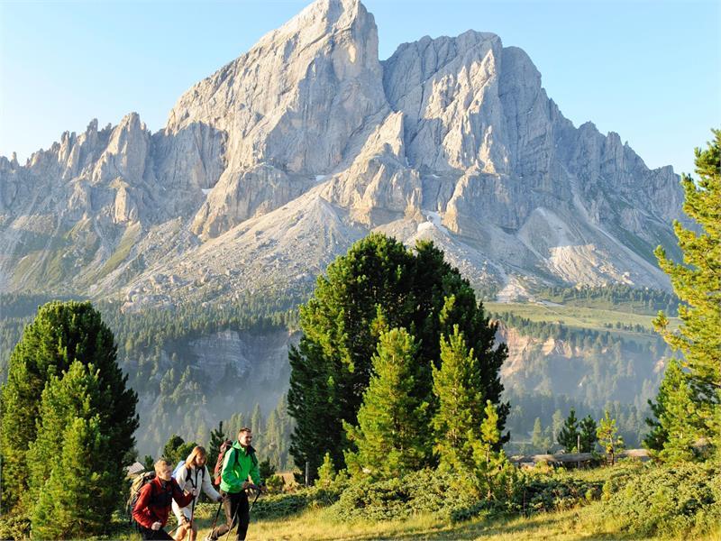 Dolorama - Immergersi nelle Dolomiti Patrimonio Mondiale dell'Umanità UNESCO