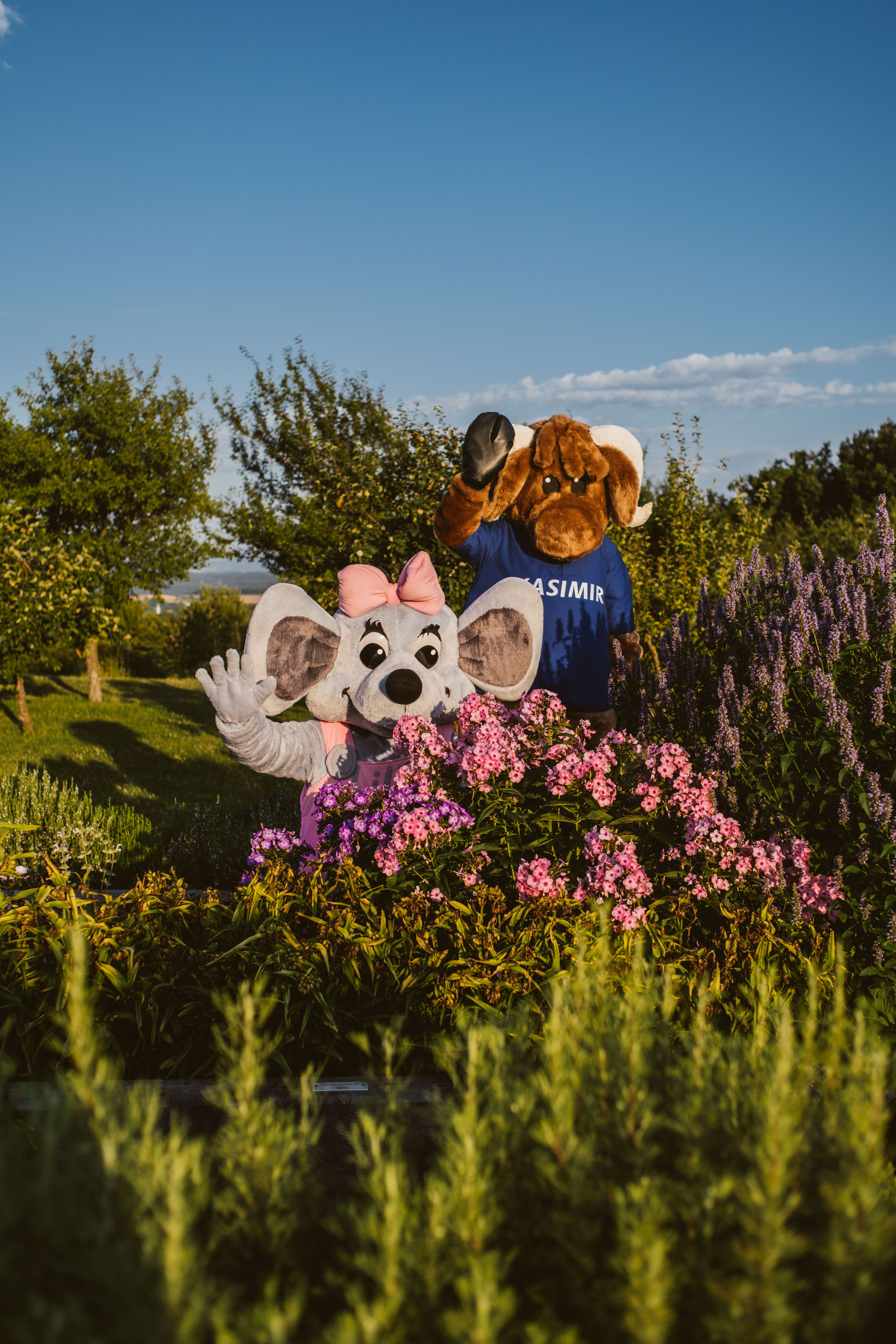 Meet & Greet mit Kasimir oder Lilly