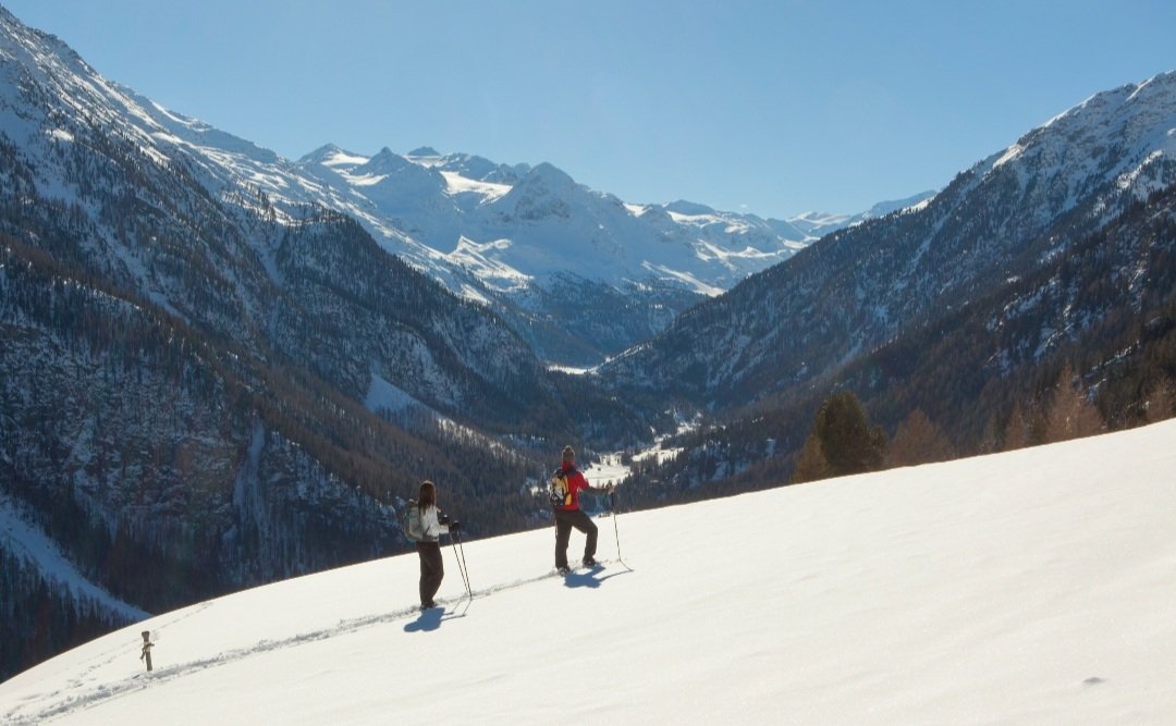 Winterzauber auf Schneeschuhen: Geführte Schneeschuhwanderung zu den schönsten Plätzen der Region