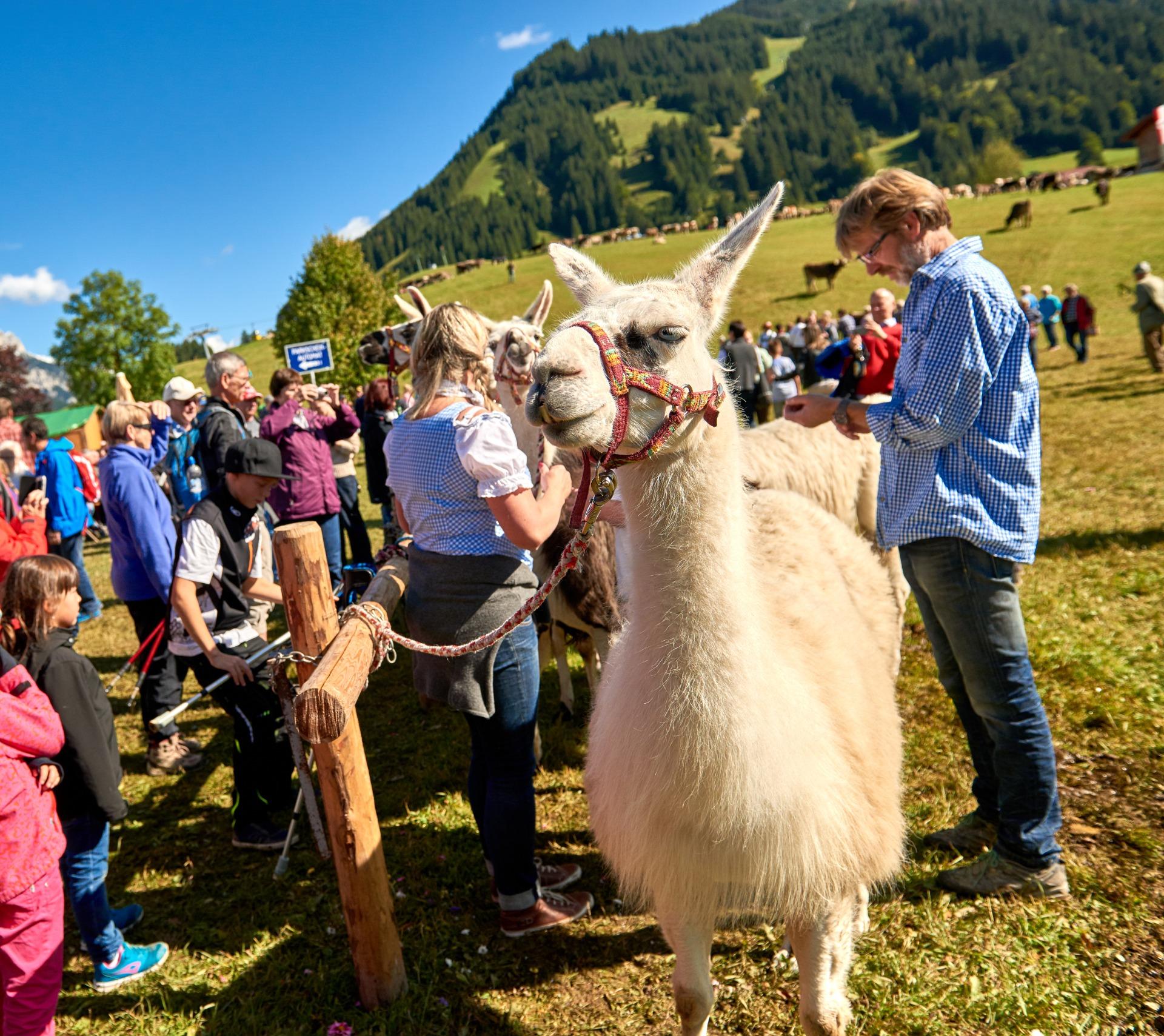 Veranstaltungen im Tannheimer Tal