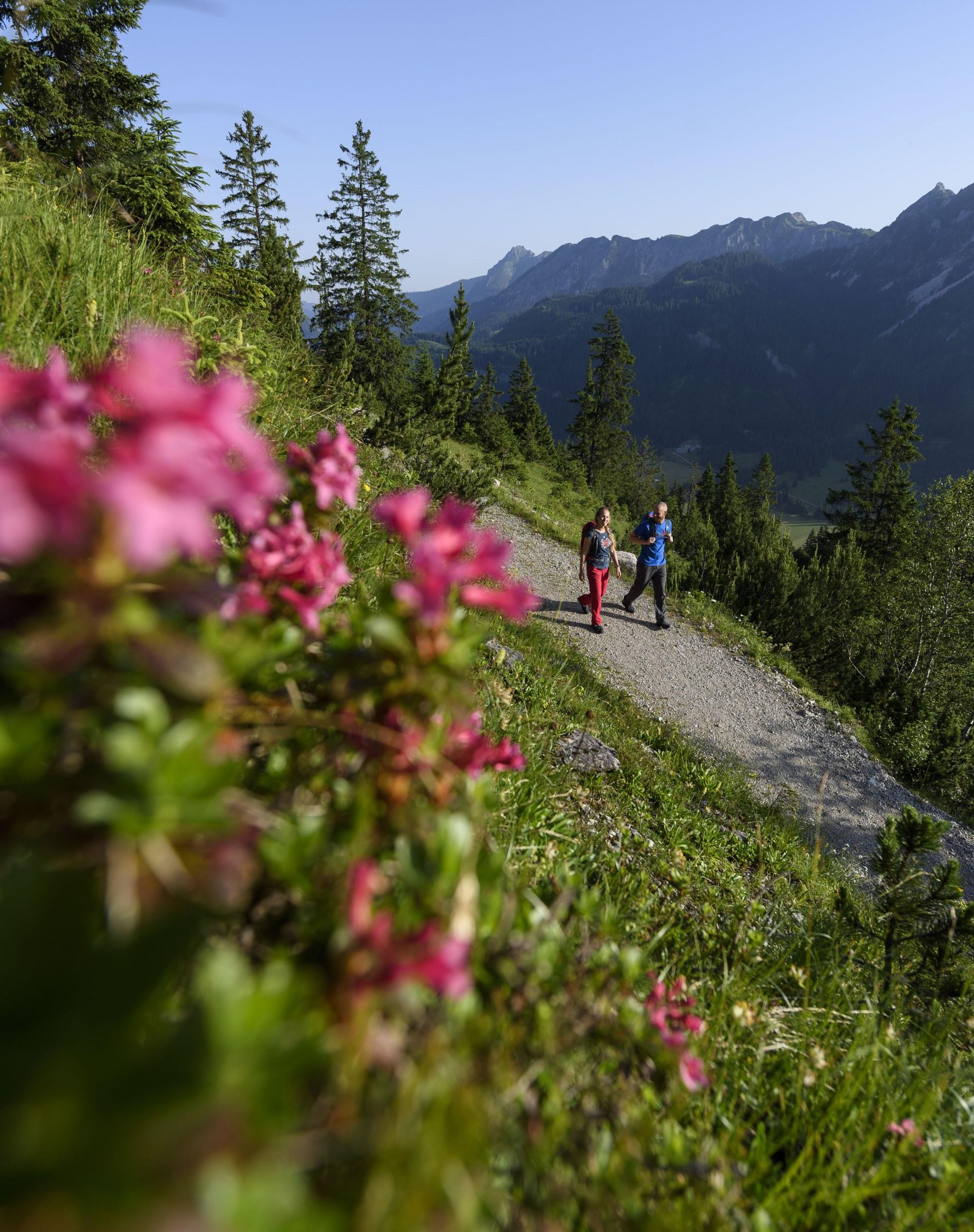 Dienstagstipp:
Vom Alpenrosenweg bis hin zum Floschen-Schattwald Spaziergang