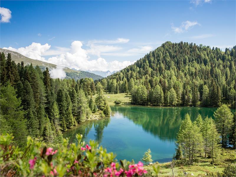 Ai laghi di Schrütten, di colore verde smeraldo