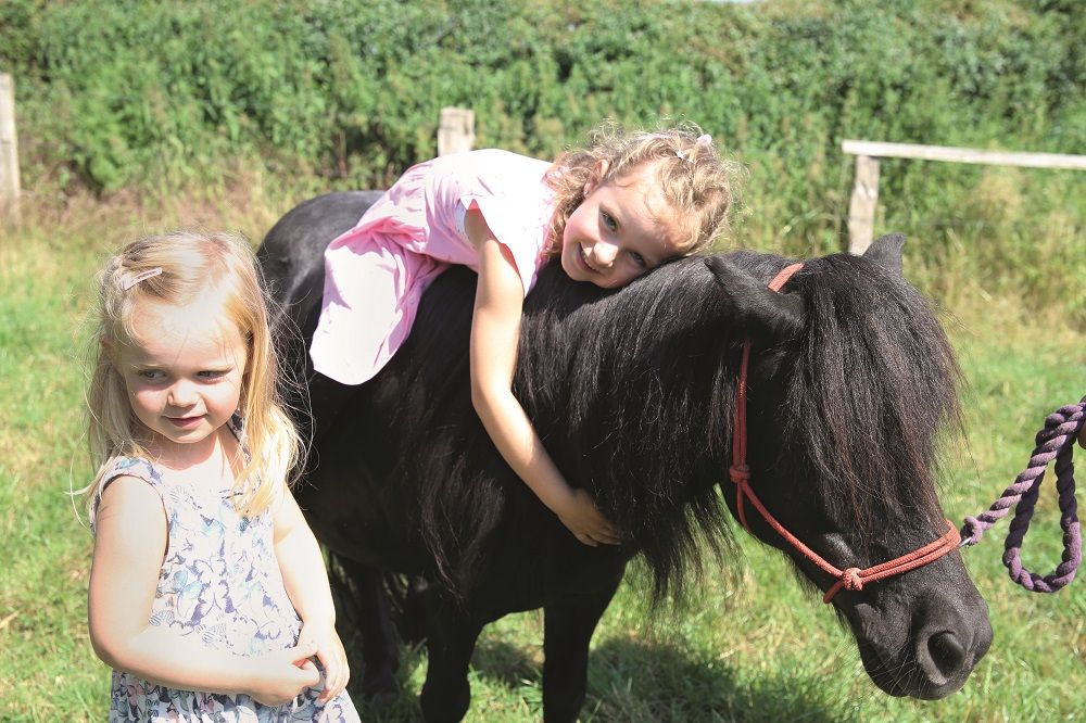 Pony-Reitausflug