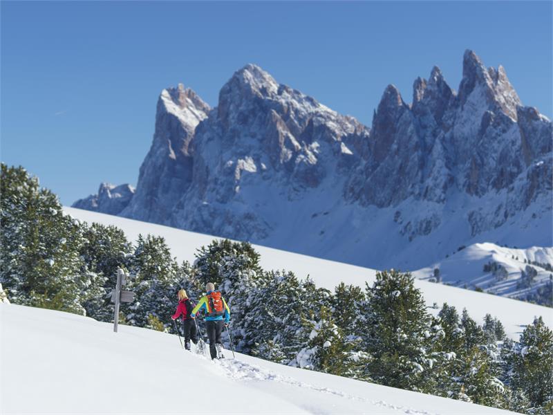 Escursione guidata con le racchette da neve - In movimento su suole silenziose